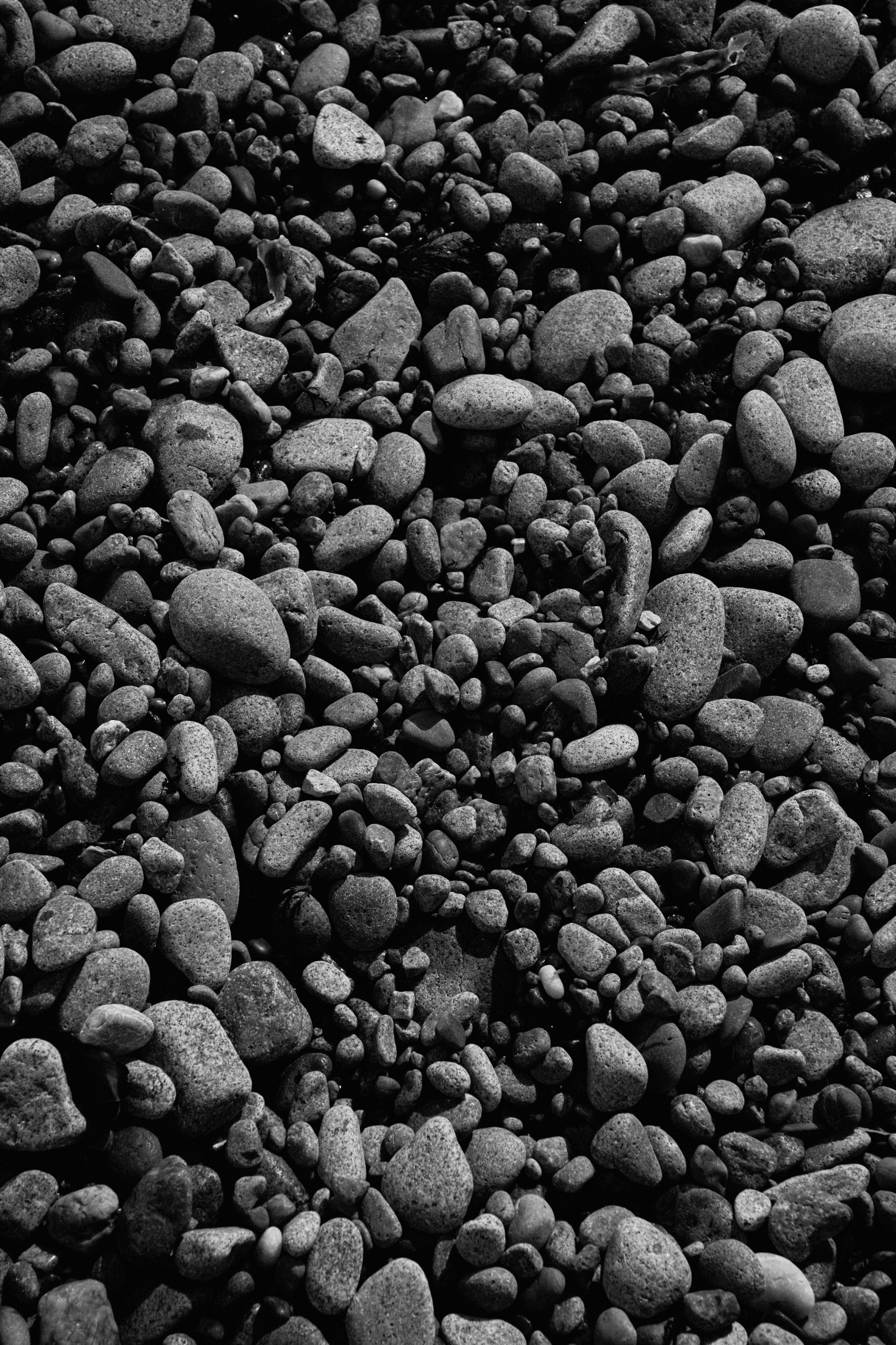 BAON x SAKHALIN. Фотограф Сурков Никита