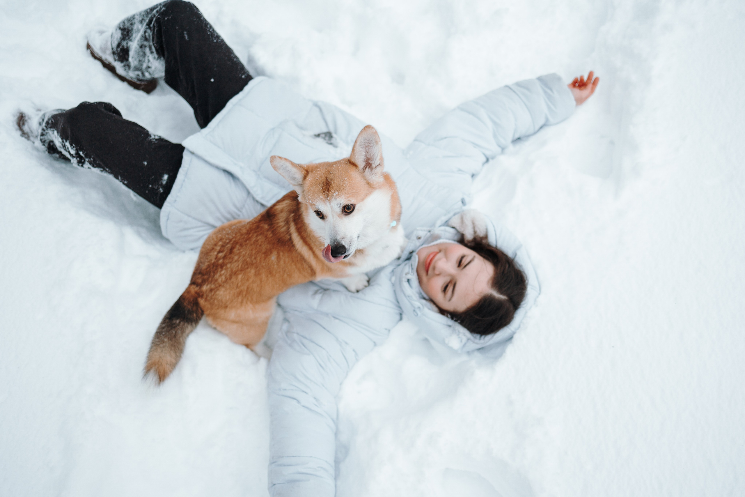 Оливка и ее семья. Фотограф — Анималист | Санкт-Петербург