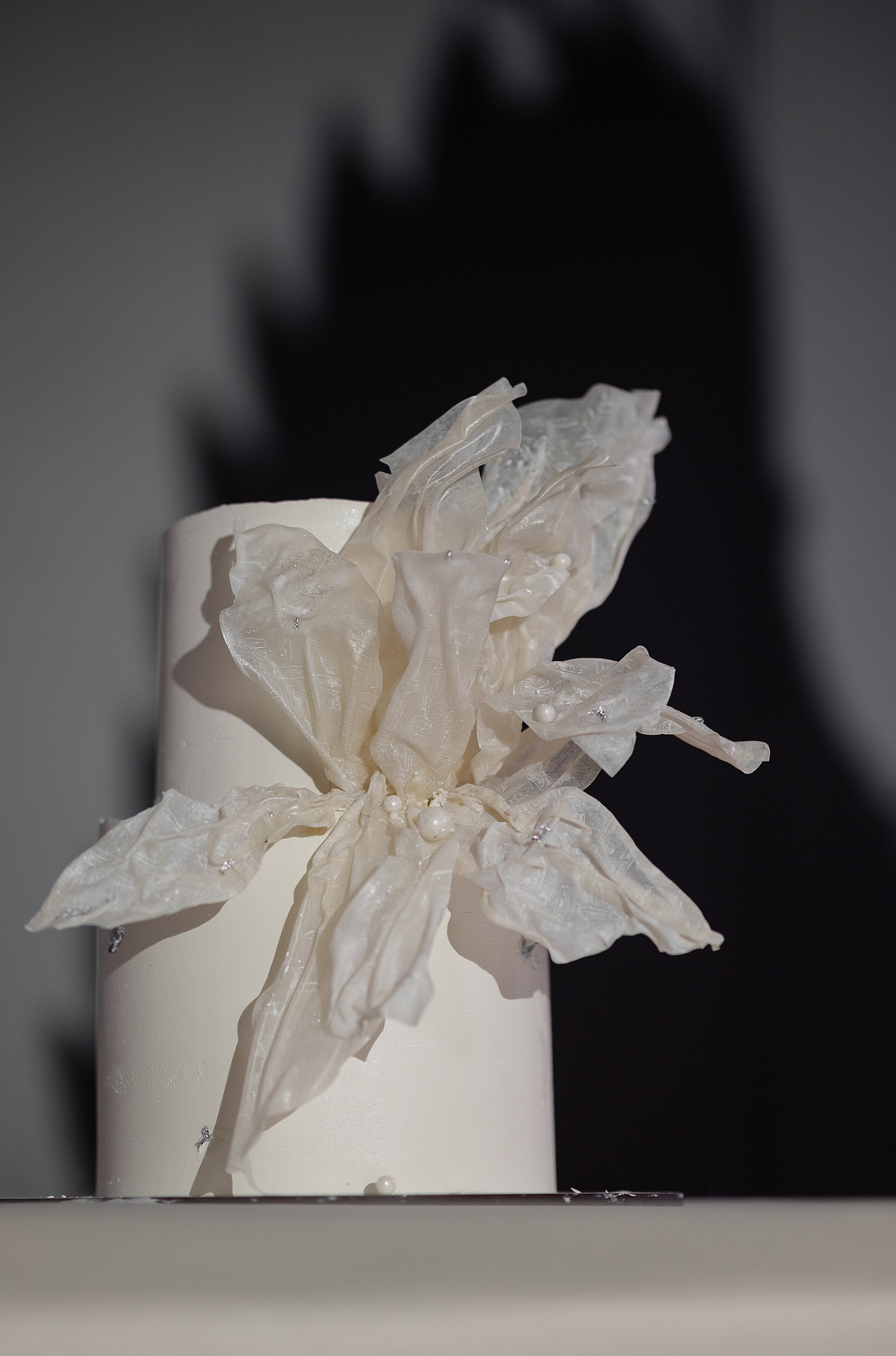 Стас и Алина. Свадебный и семейный фотограф в Ростове-на-Дону Алина Астахова