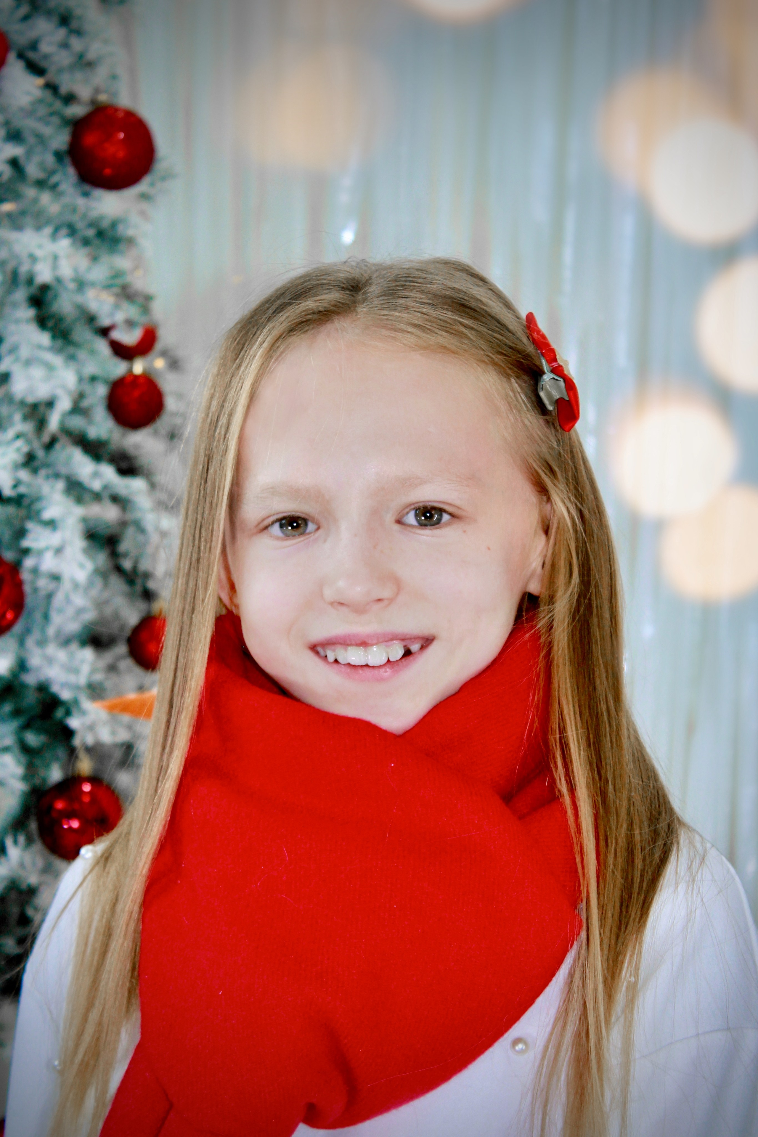 Скоро Новый Год. Портфолио