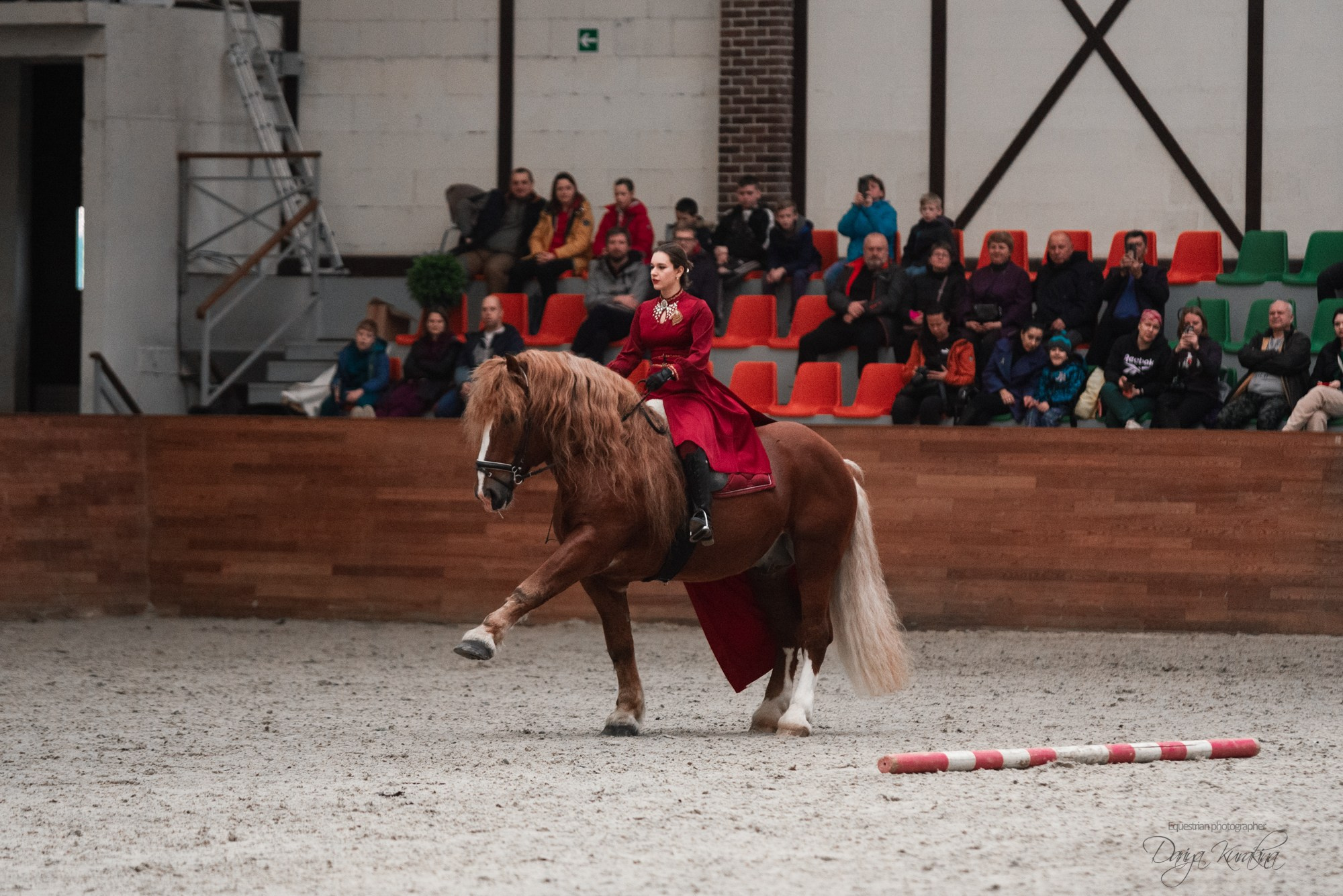 8-я международная выставка Конная Россия. Конный фотограф Куракина Дарья • Фотосессии с лошадьми