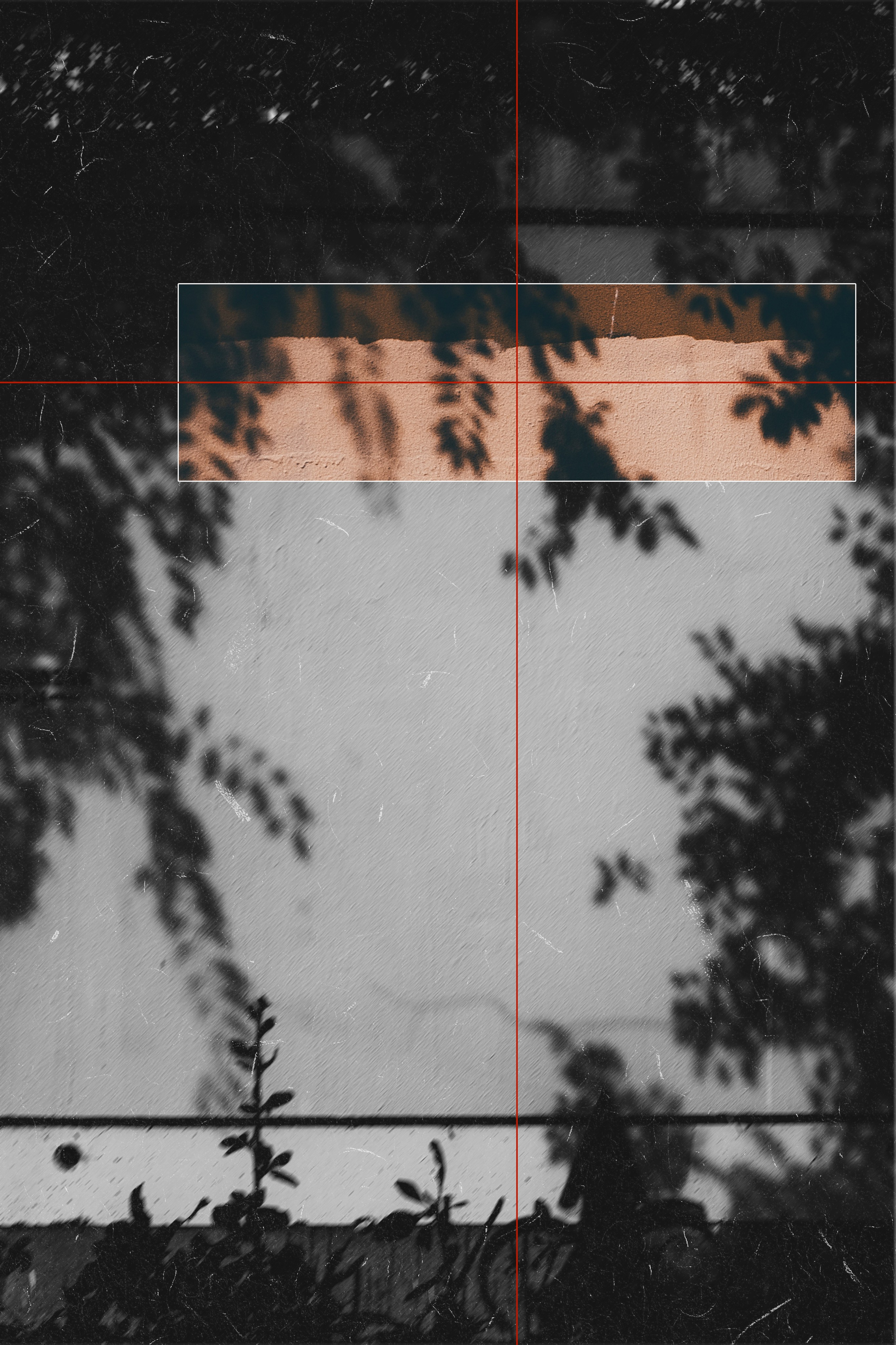 Artwork. Фотограф Ваня Бархатов