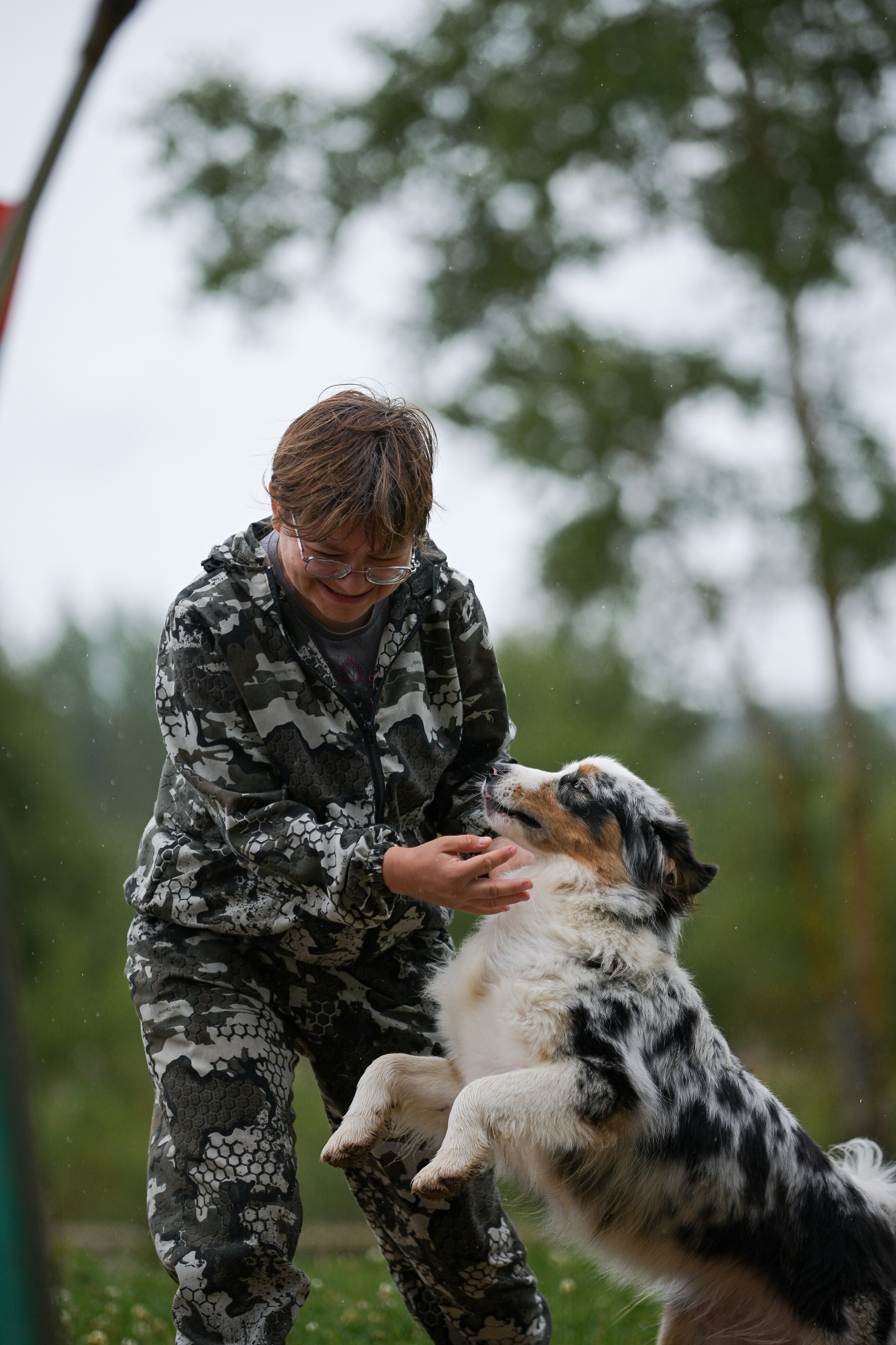 Пастьба собак. Творческий фотограф Вологда