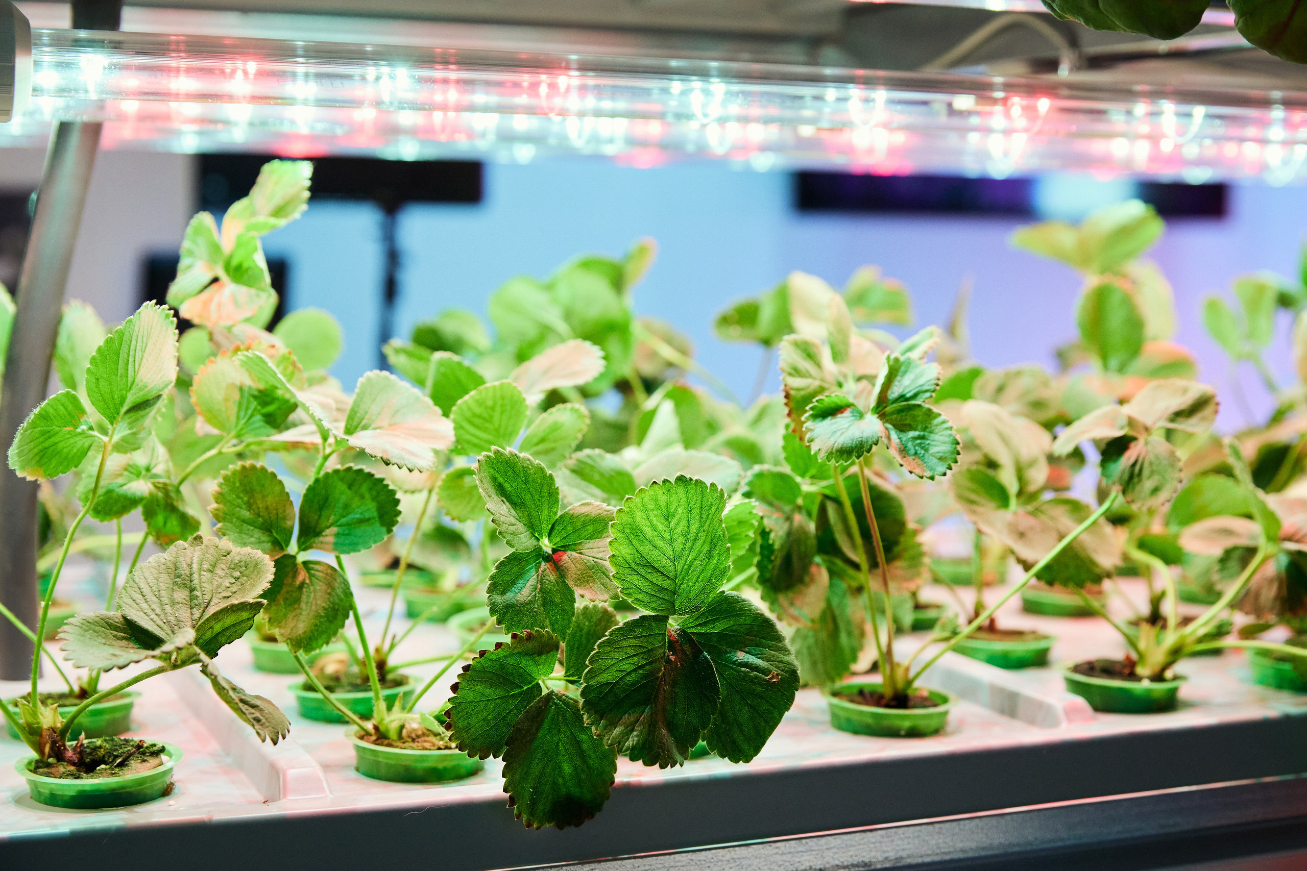 35. Фотограф Недорез Александр в Москве. Репортаж на ваших мероприятиях