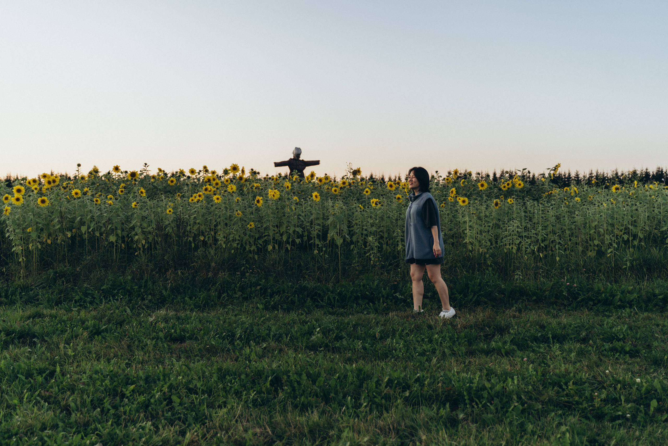 Света Ли. Главная