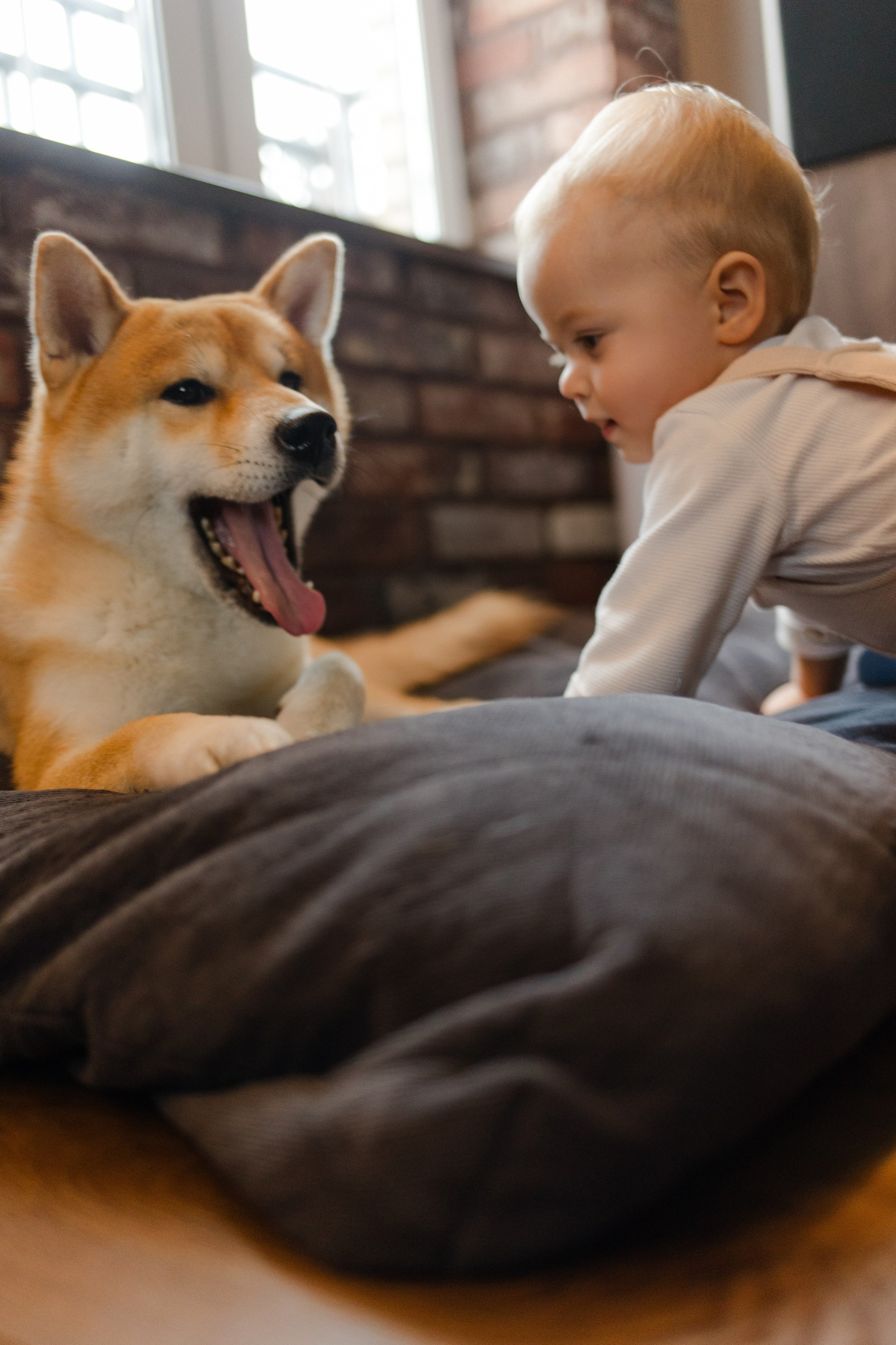 Настя с семьей. Семейный и детский фотограф в Москве Кузьмина Мария