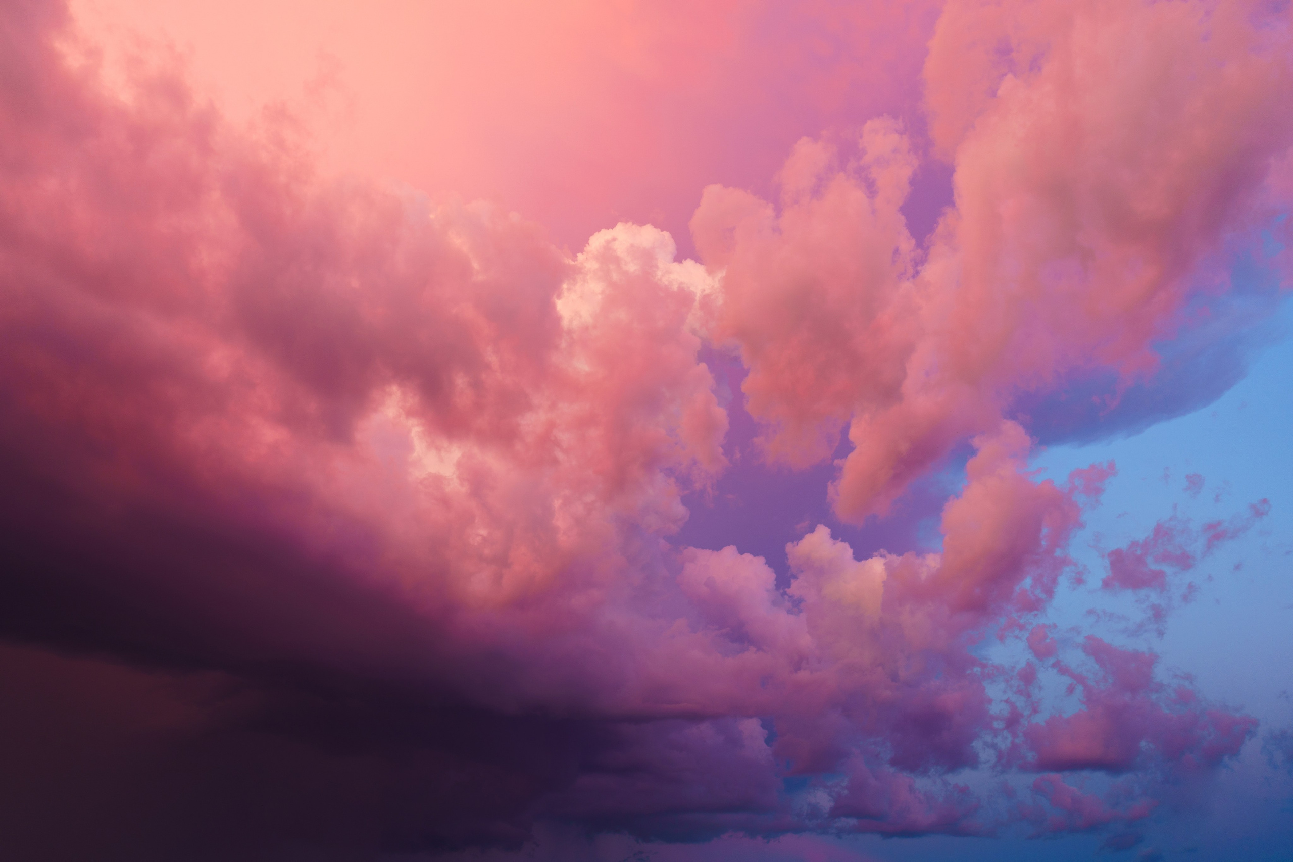 ЦВЕТНЫЕ ФОТОГРАФИИ. Никита Аничкин фото и видео оператор из России