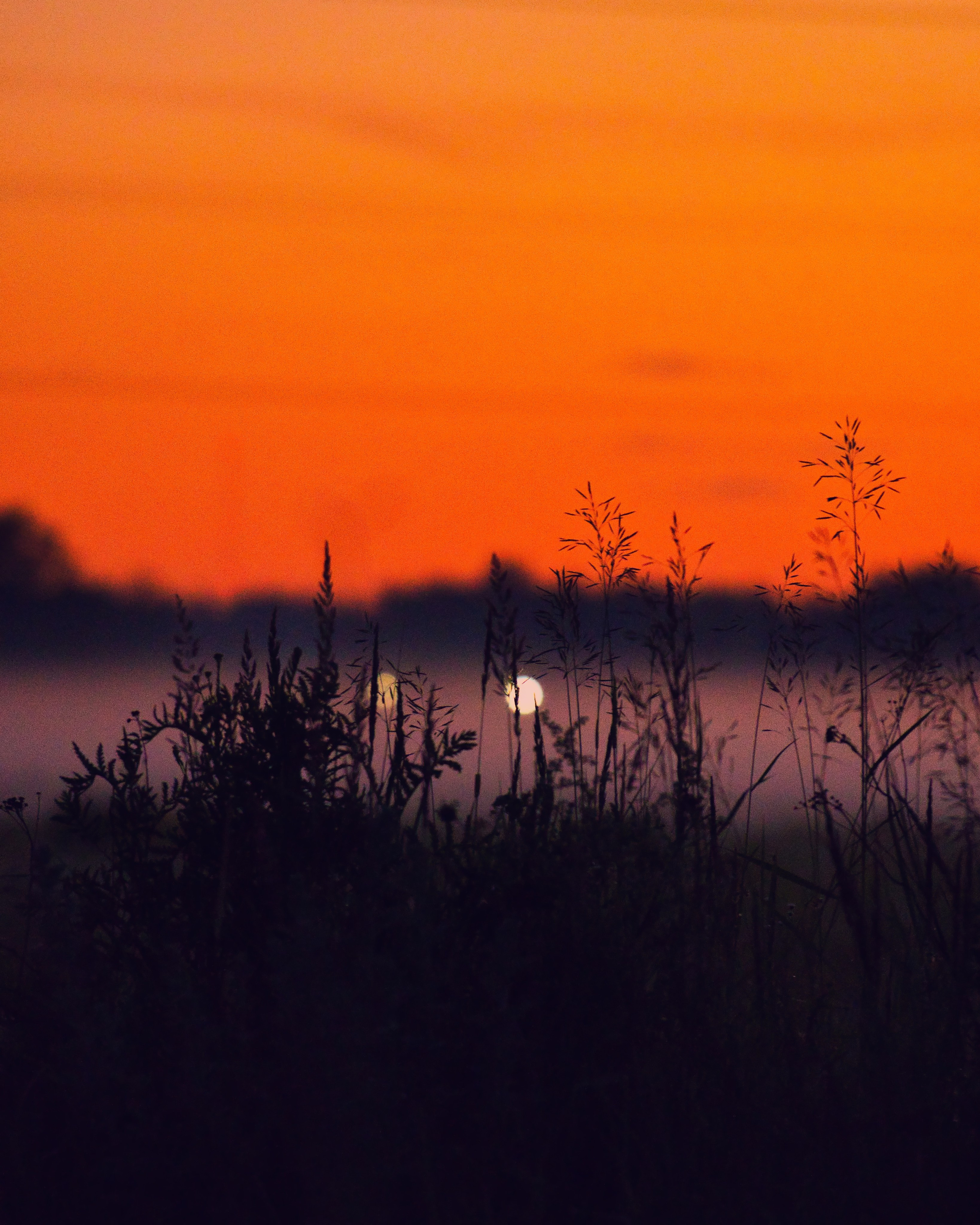 Стрит‑фото: жизнь города в кадре — реальные моменты. FM Media Сrew. Репортажные фото и видео