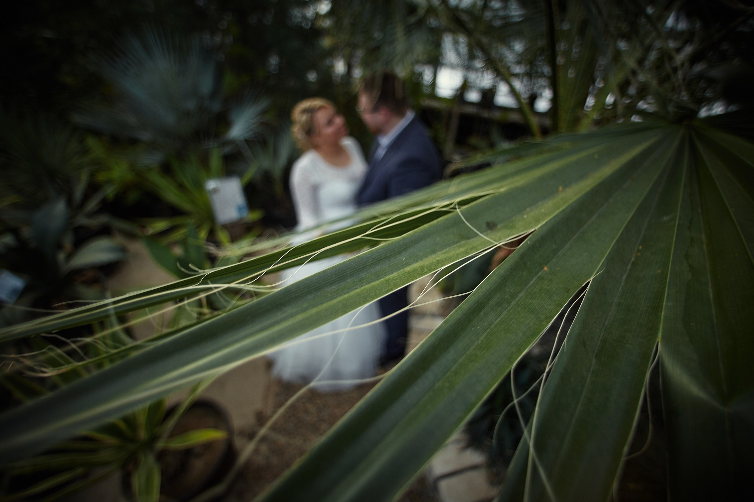 Егор и Екатерина