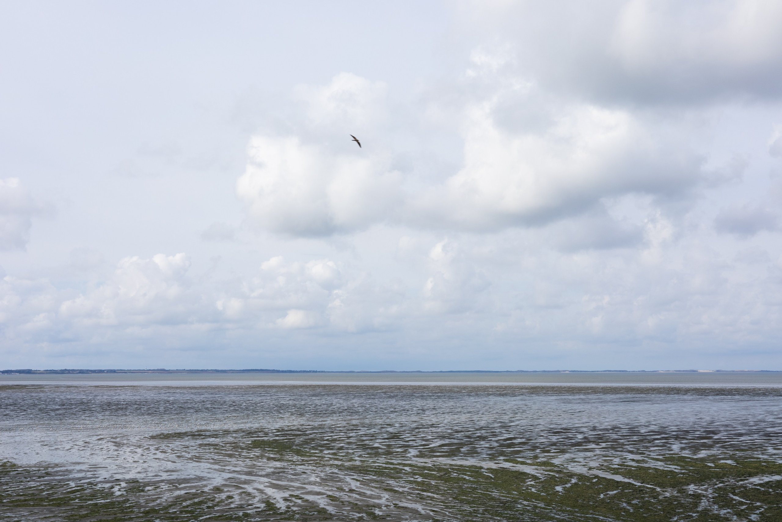 Sylt. ITMAG.ME | Visual Art