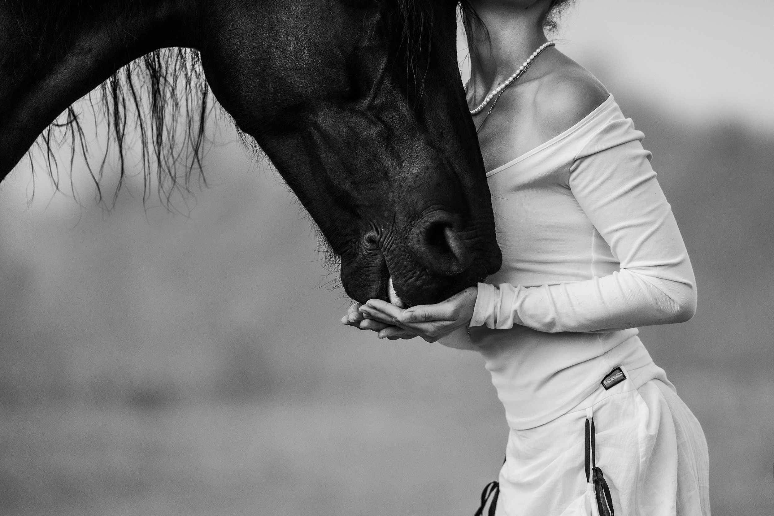 Фотограф-анималист Юлия Удовенко