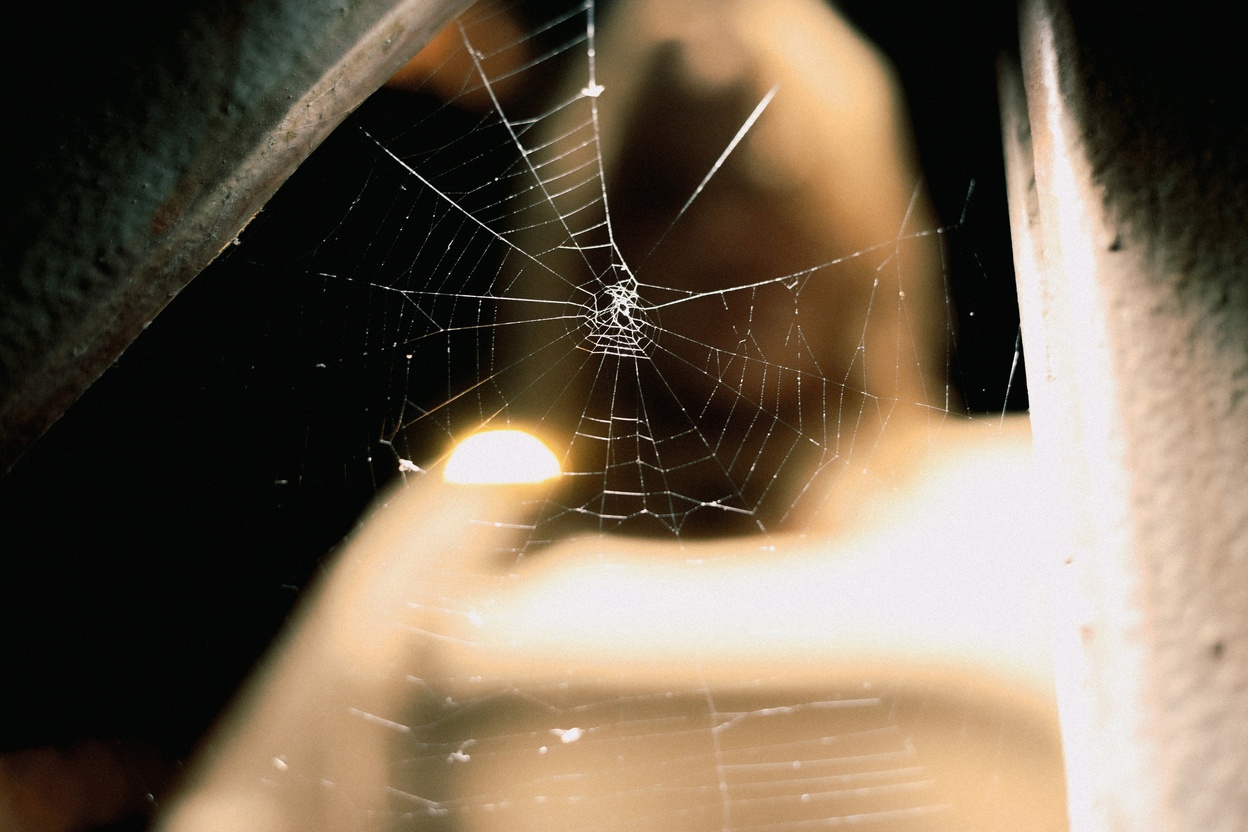 ЯВЬ. WAYHAY — Портретный фотограф