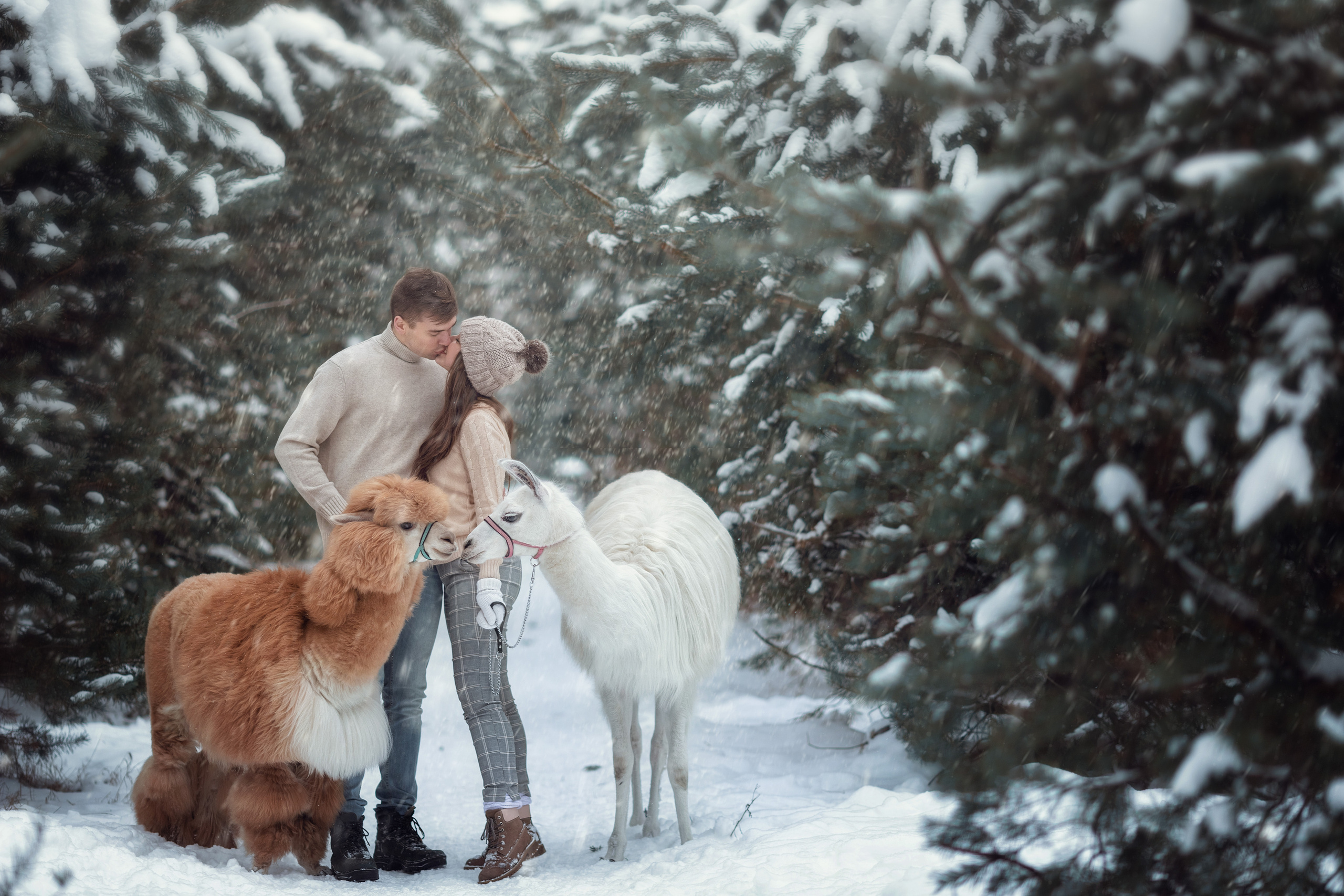 Фотографии. Творческая студия «Махавик». Свадебная фото и видеосъёмка в Подольске
