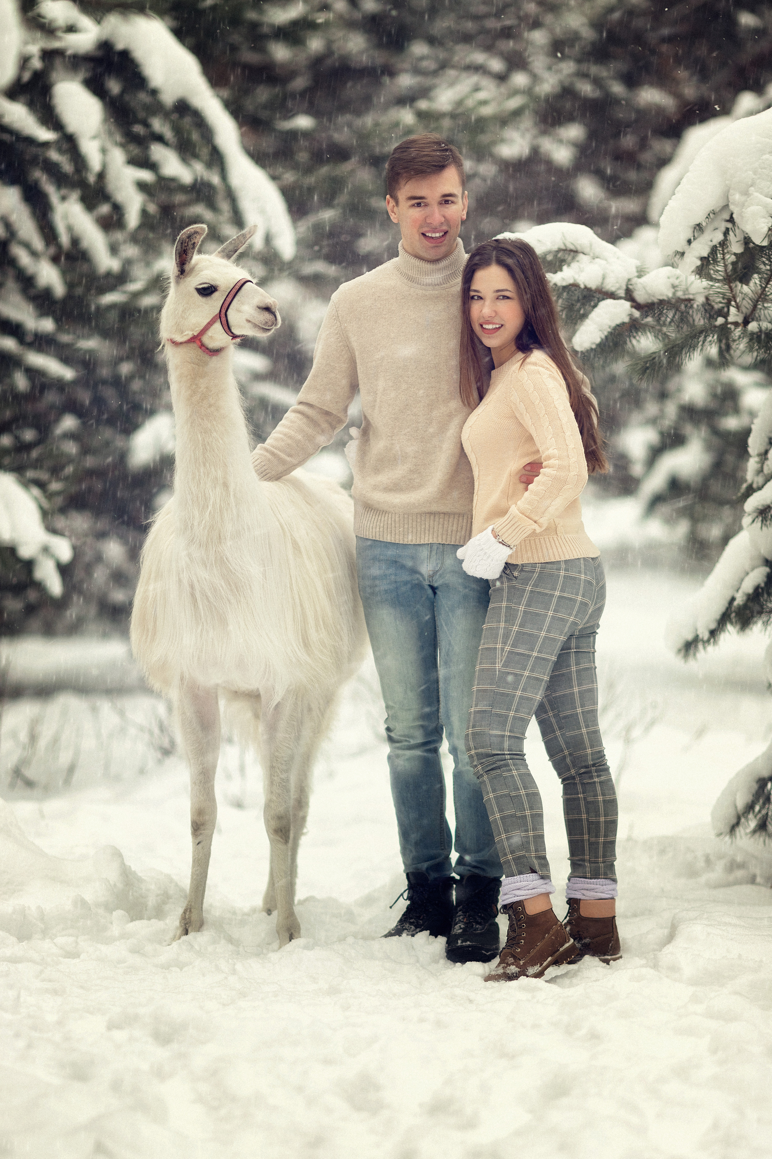 Фотографии. Творческая студия «Махавик». Свадебная фото и видеосъёмка в Подольске