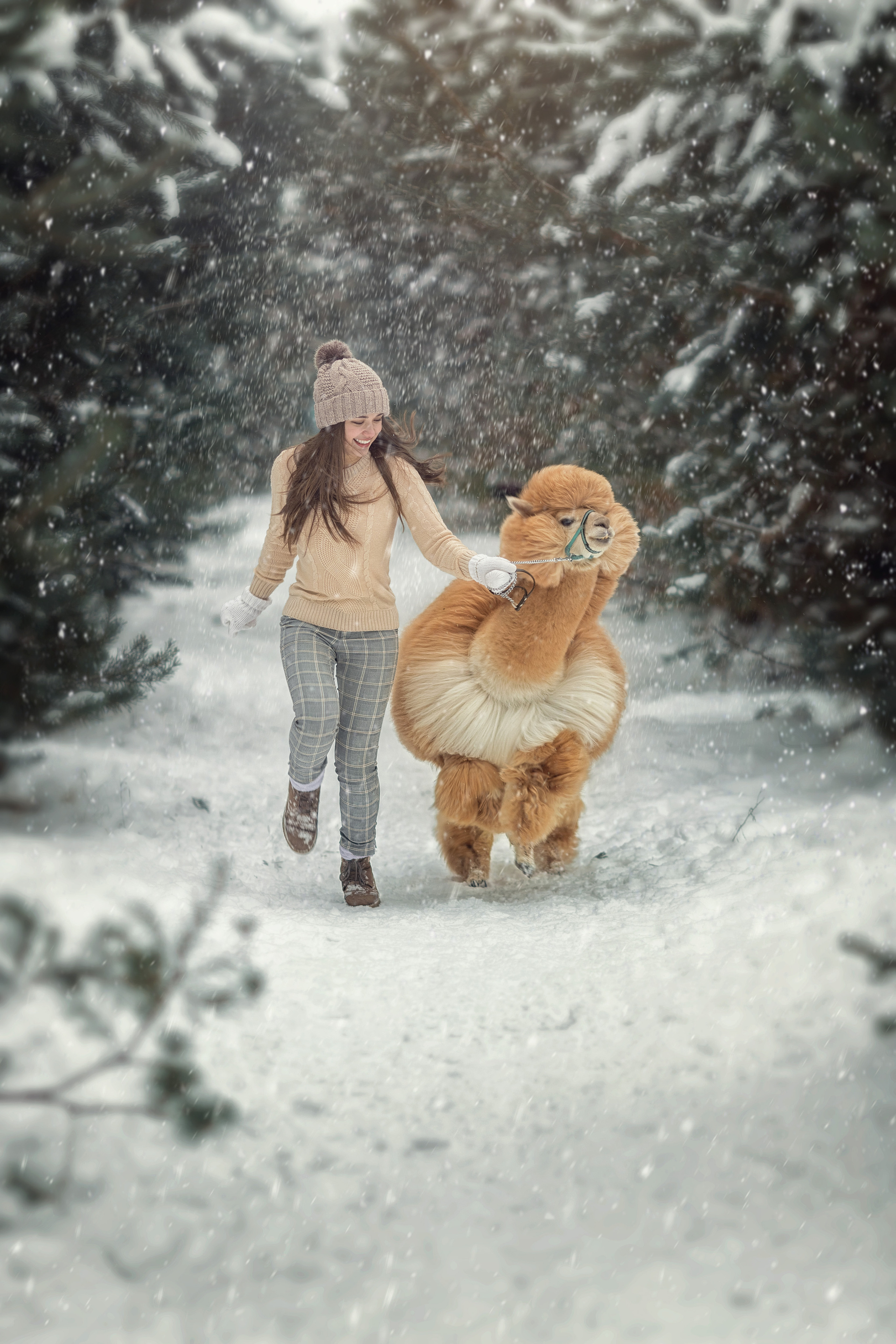 Фотографии. Творческая студия «Махавик». Свадебная фото и видеосъёмка в Подольске