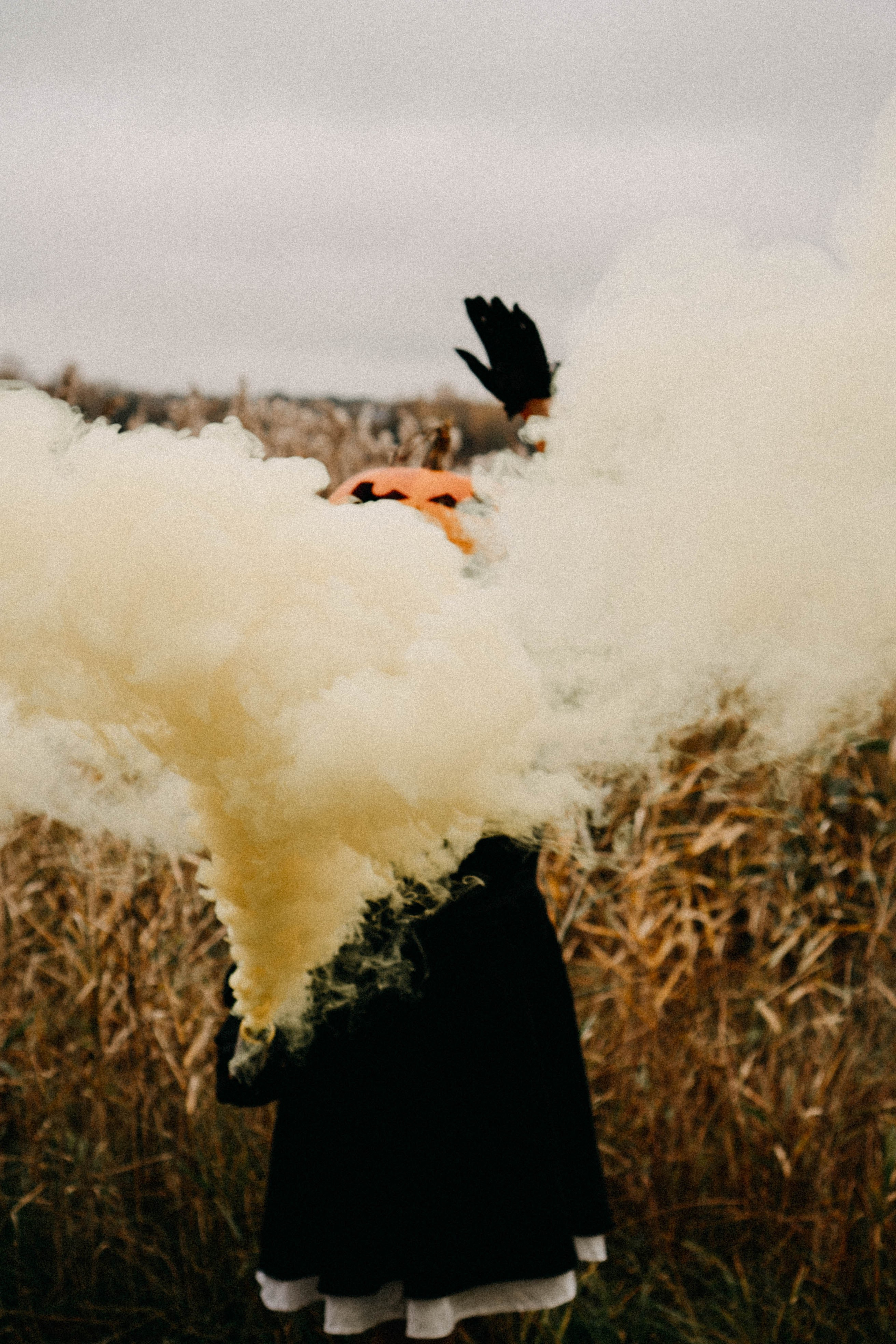 Осеняя. Профессиональный фотограф, Санкт-Петербург — Виктория Богомолова