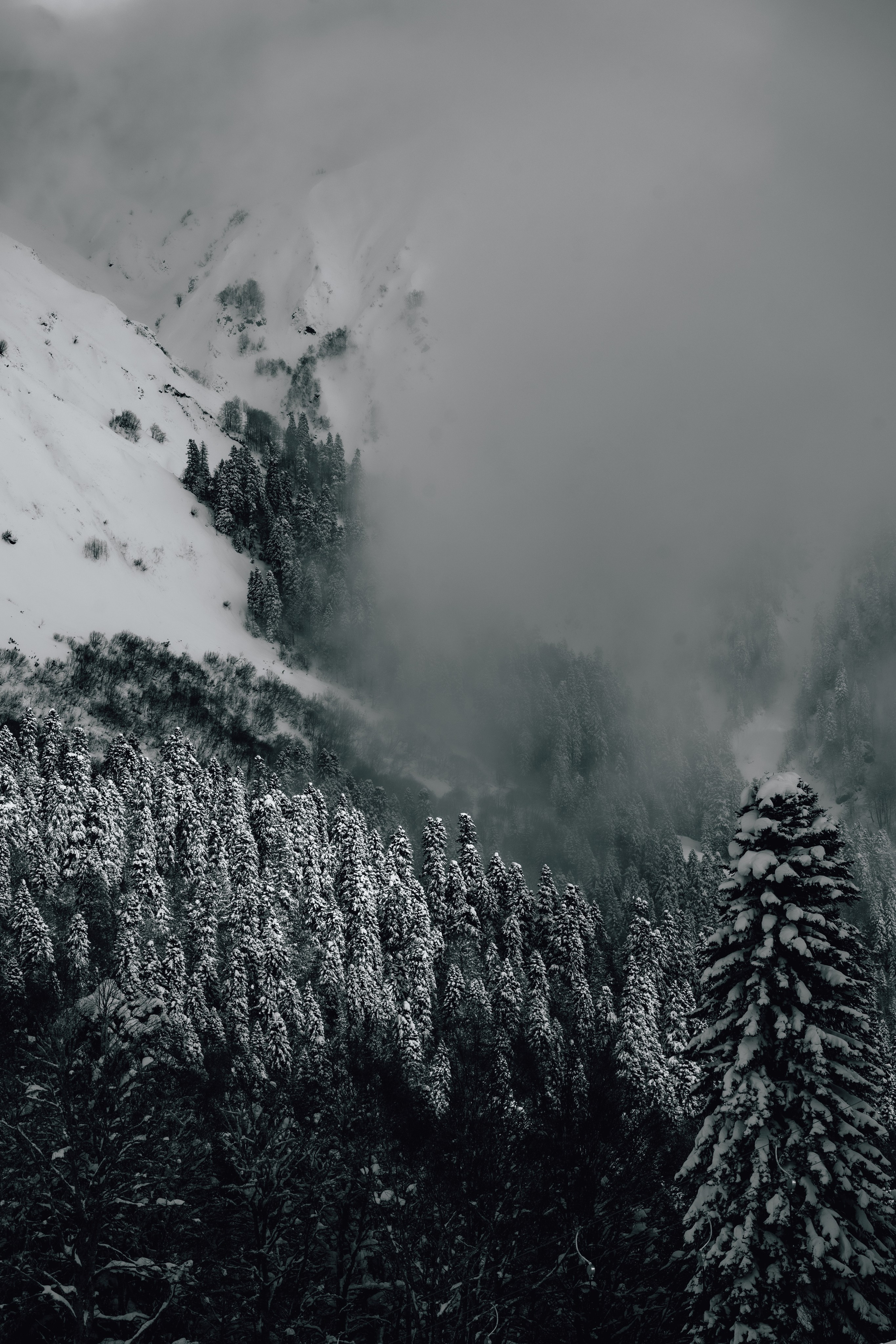 Путешествия и пейзаж. Репортажный фотограф в Красной Поляне и Сочи Павлюченко Екатерина