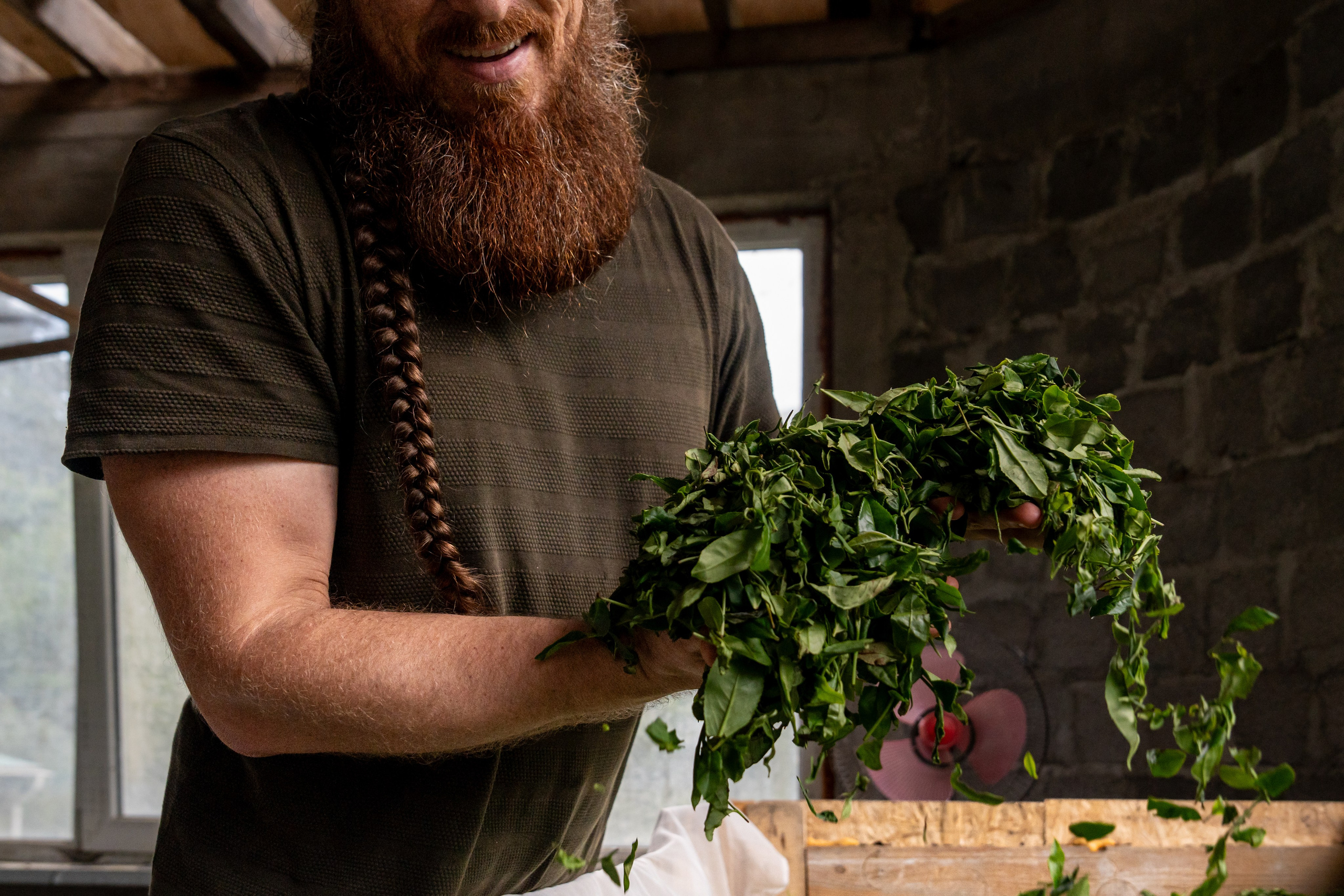 Яндекс.Еда — Сочинский чай. Репортажный фотограф в Красной Поляне и Сочи Павлюченко Екатерина