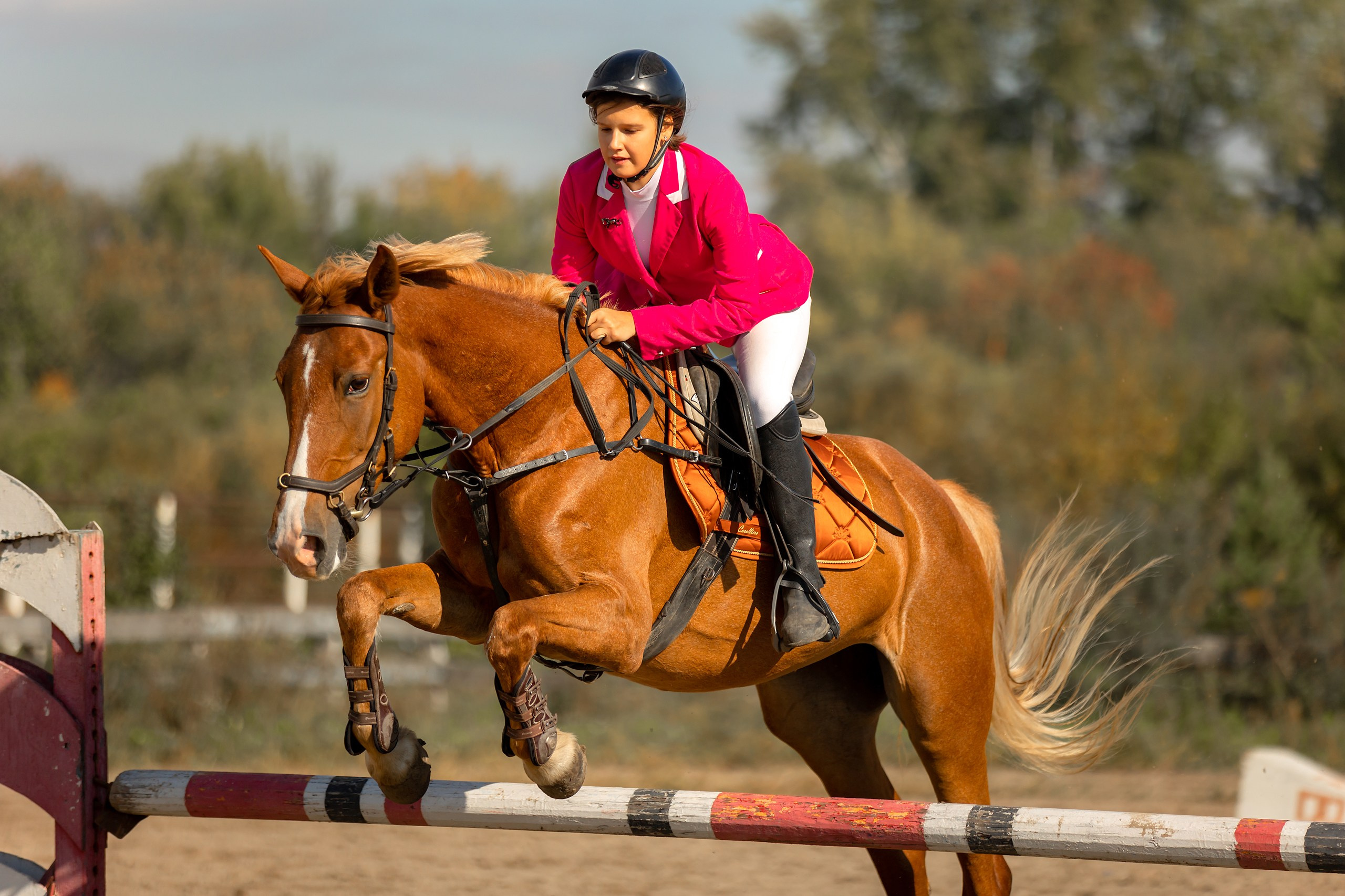 Соревнования по конному спорту. Конный фотограф Валынкина Лера