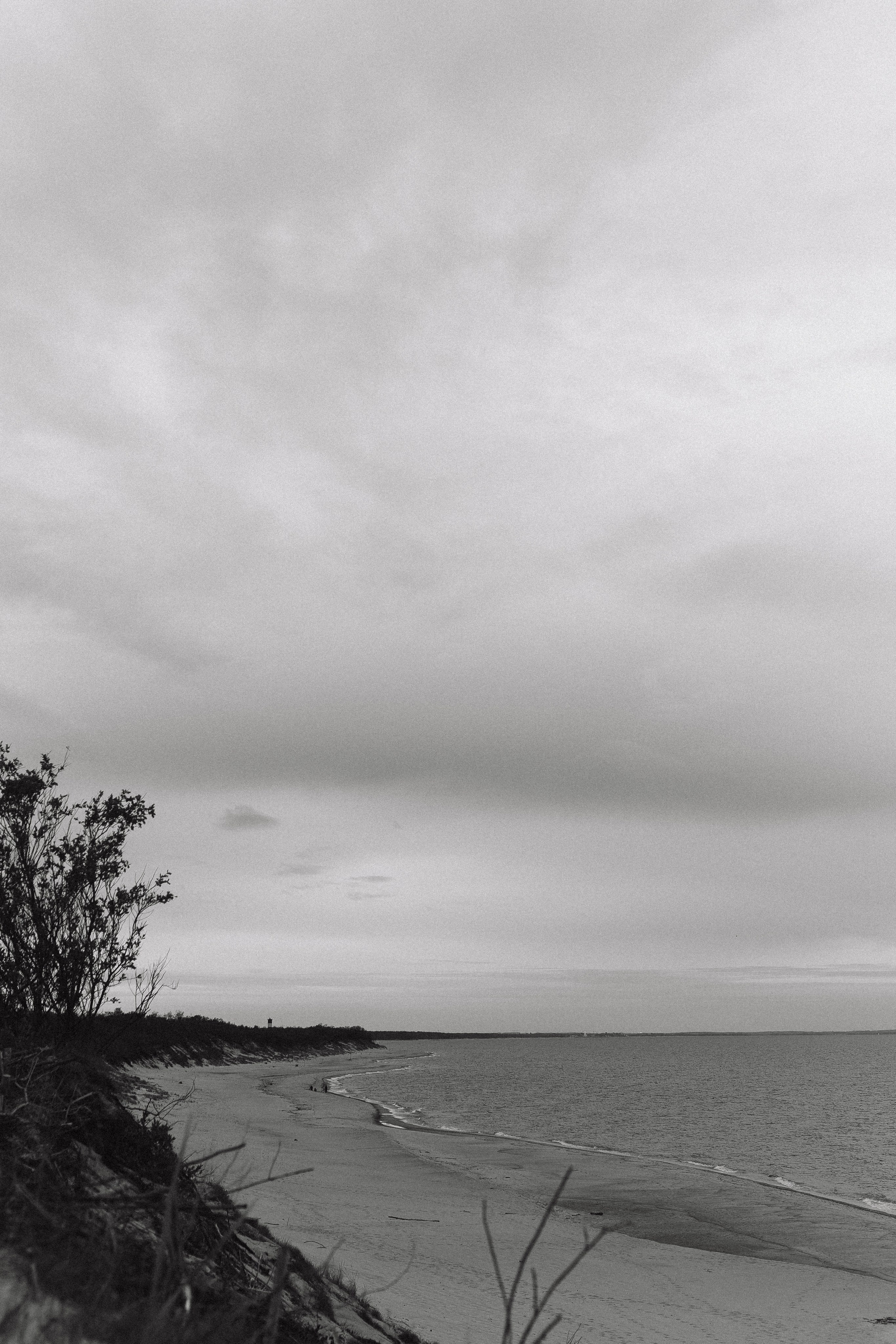 Е & E`23. Фотограф Кольчугино/Владимир/Москва Елизавета Иода