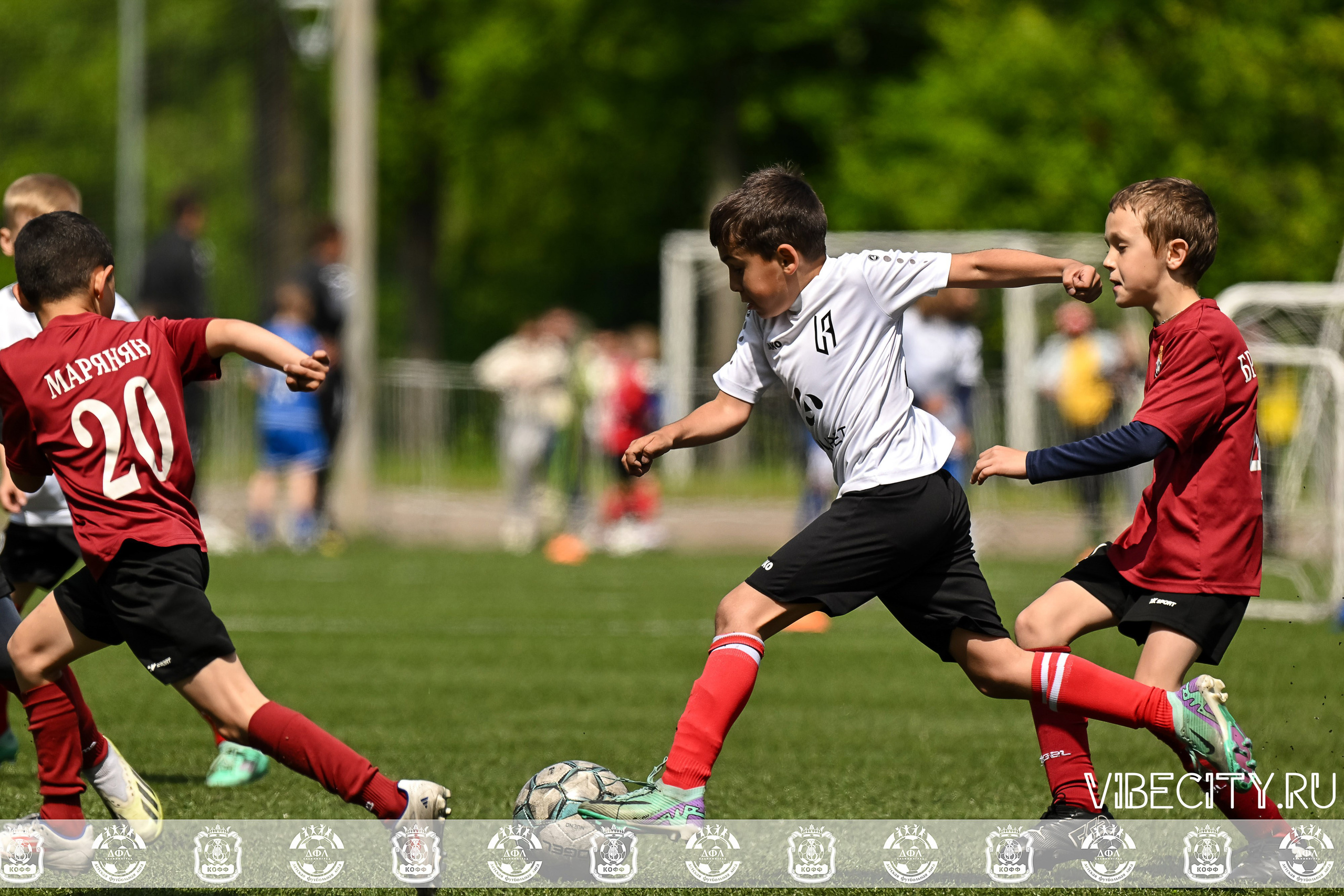 Большие Звезды светят Малым. VIBECITY.RU Вайб Сити Ру Фоторепортажи Фотоотчеты Калининград