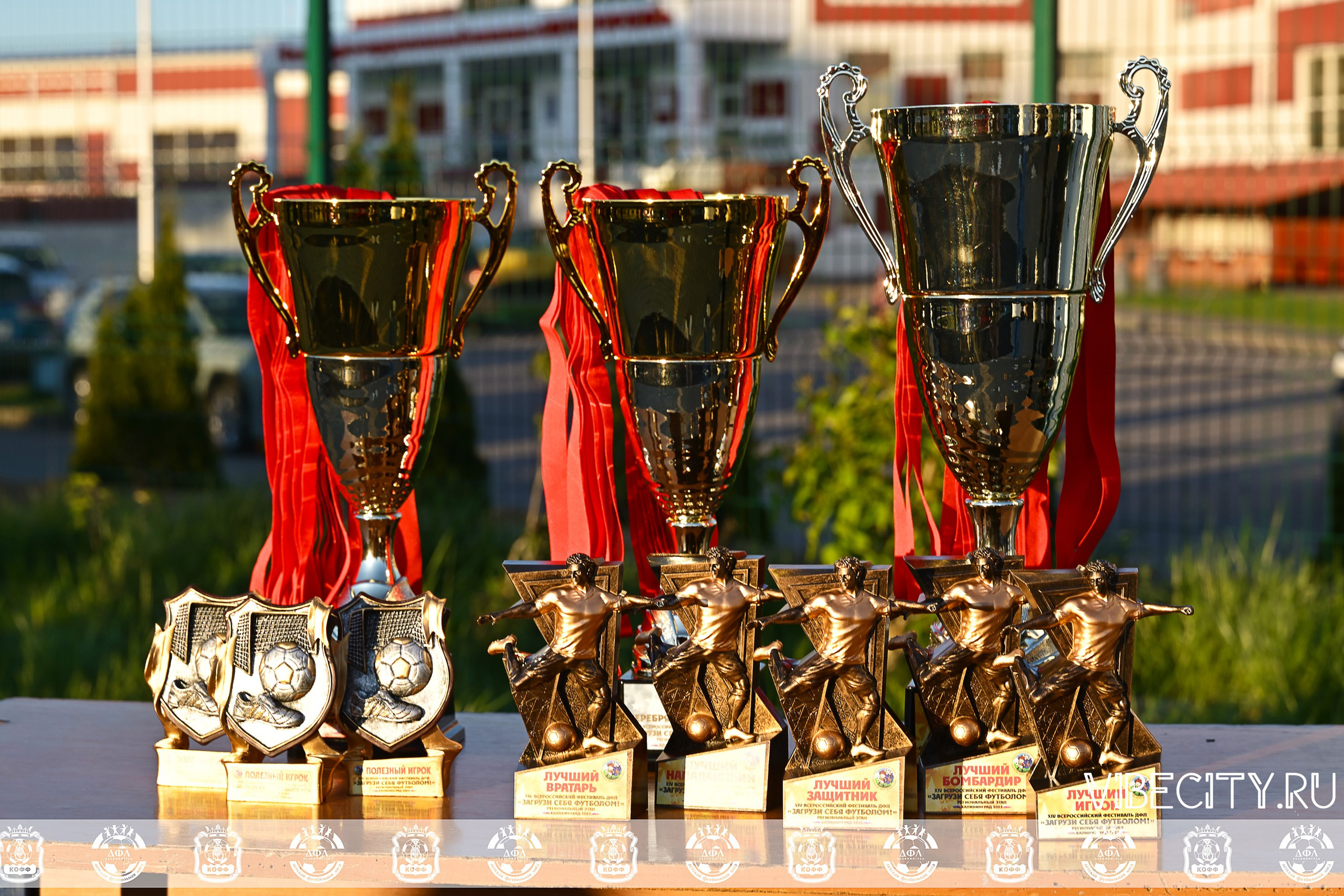 XIV ВСЕРОССИЙСКИЙ ФУТБОЛЬНЫЙ ФЕСТИВАЛЬ «ЗАГРУЗИ СЕБЯ ФУТБОЛОМ!». VIBECITY.RU Вайб Сити Ру Фоторепортажи Фотоотчеты Калининград