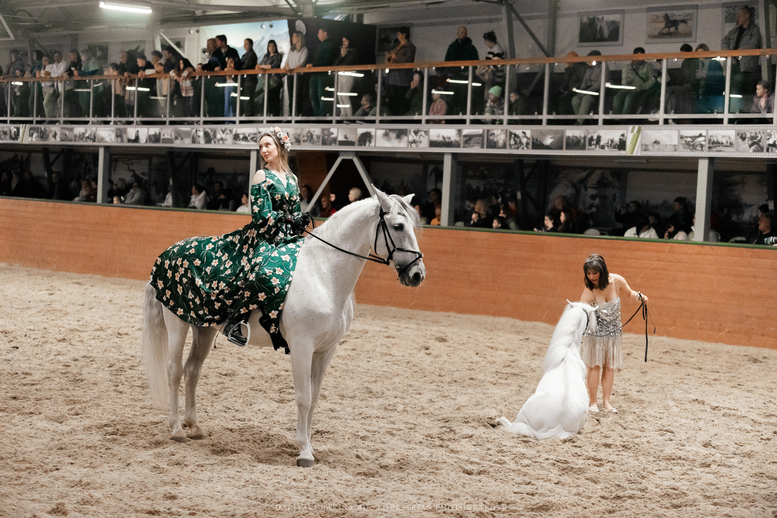 Конное представление «Дыхание Звёзд». Конный фотограф Куракина Дарья • Фотосессии с лошадьми