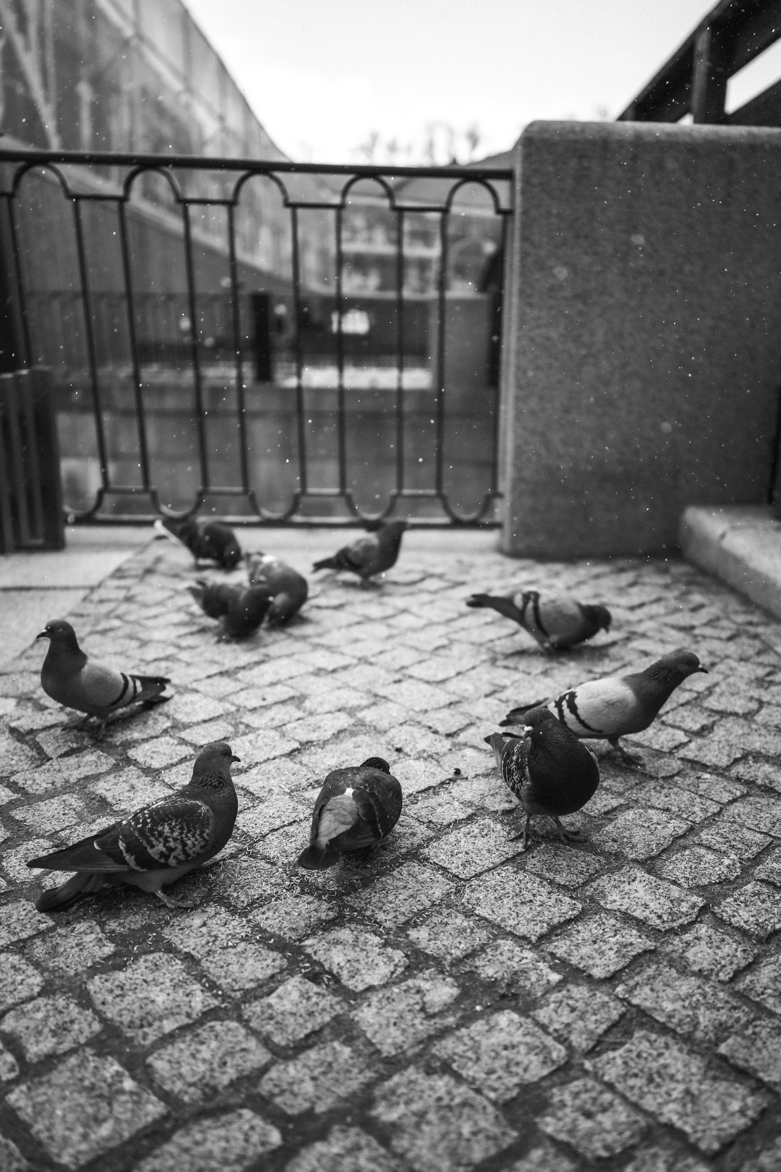 Street. Фотограф в Санкт-Петербурге Шевцов Андрей