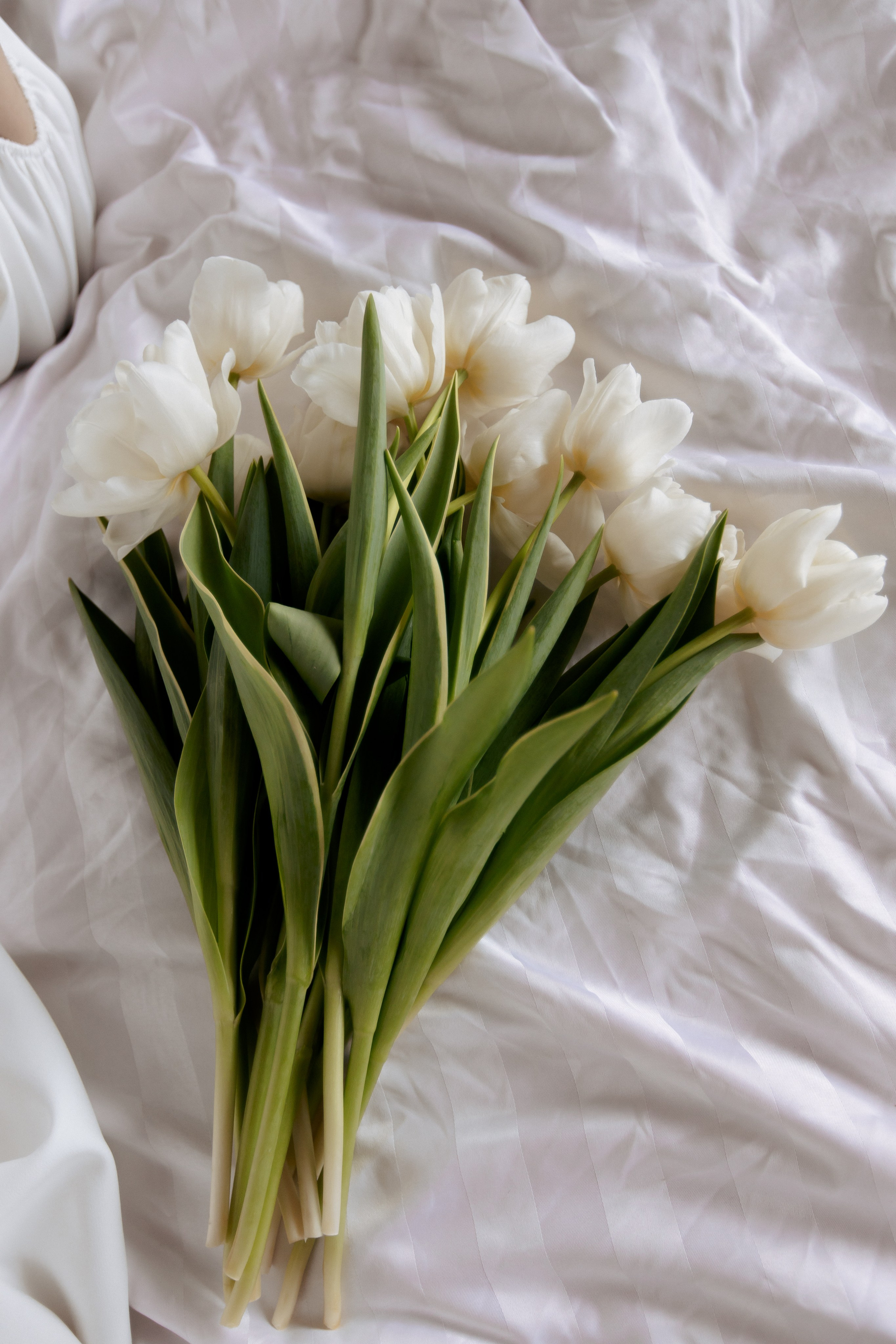 Алина. Фотограф Таганрог Любимая Надя