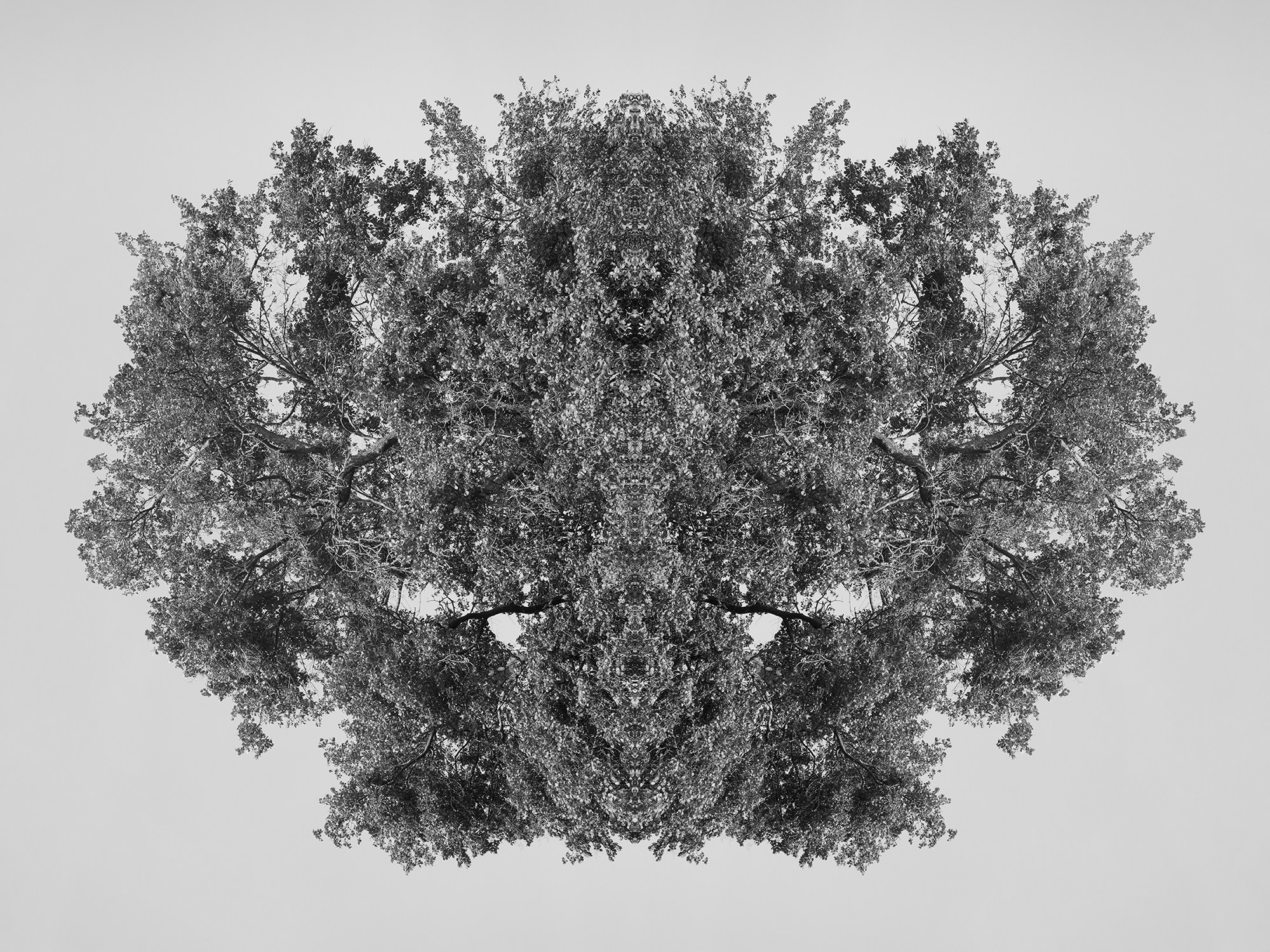 Острова. Анна Порошина — междисциплинарный художник