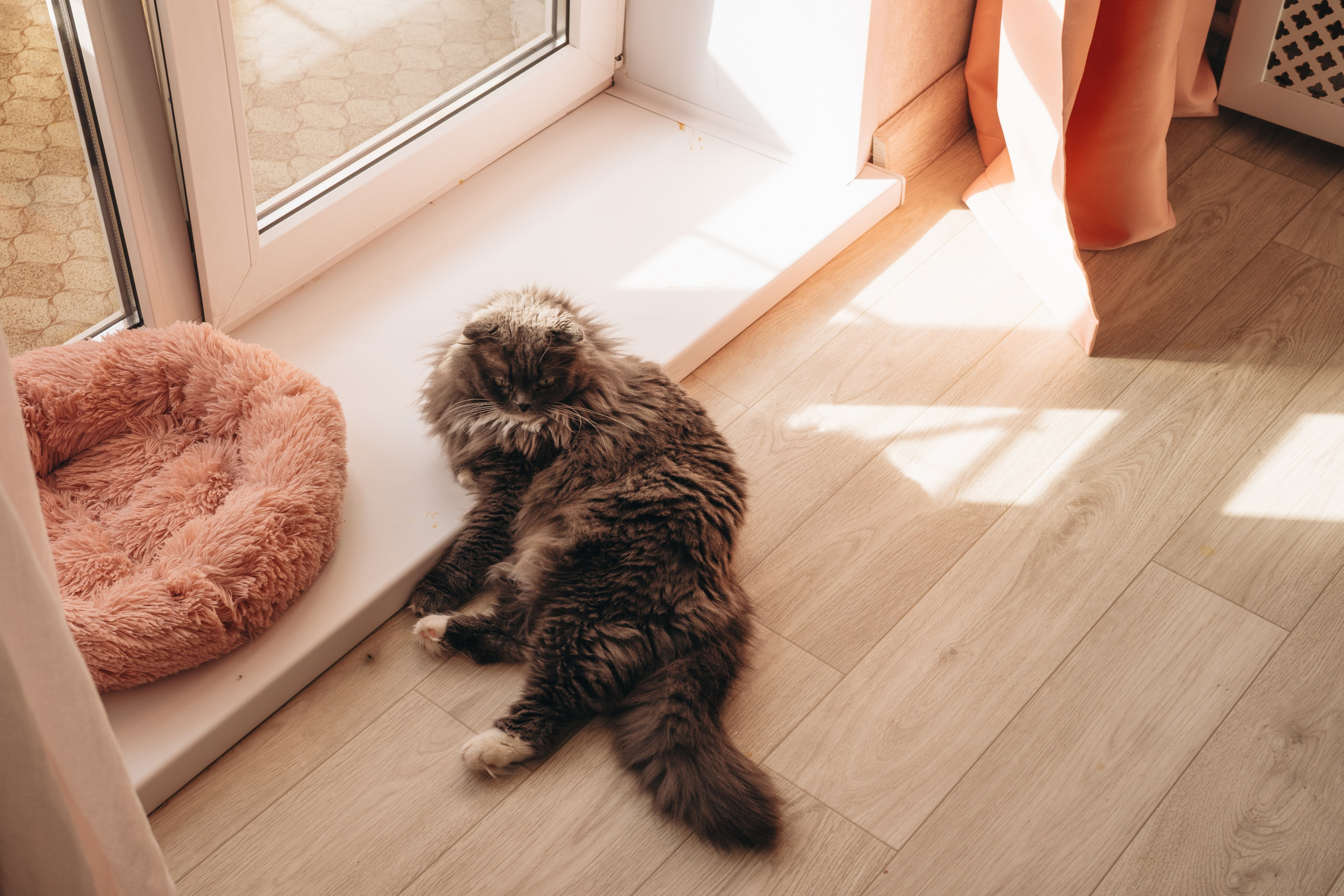 Семейная домашняя серия. Alenasokolowa.ru