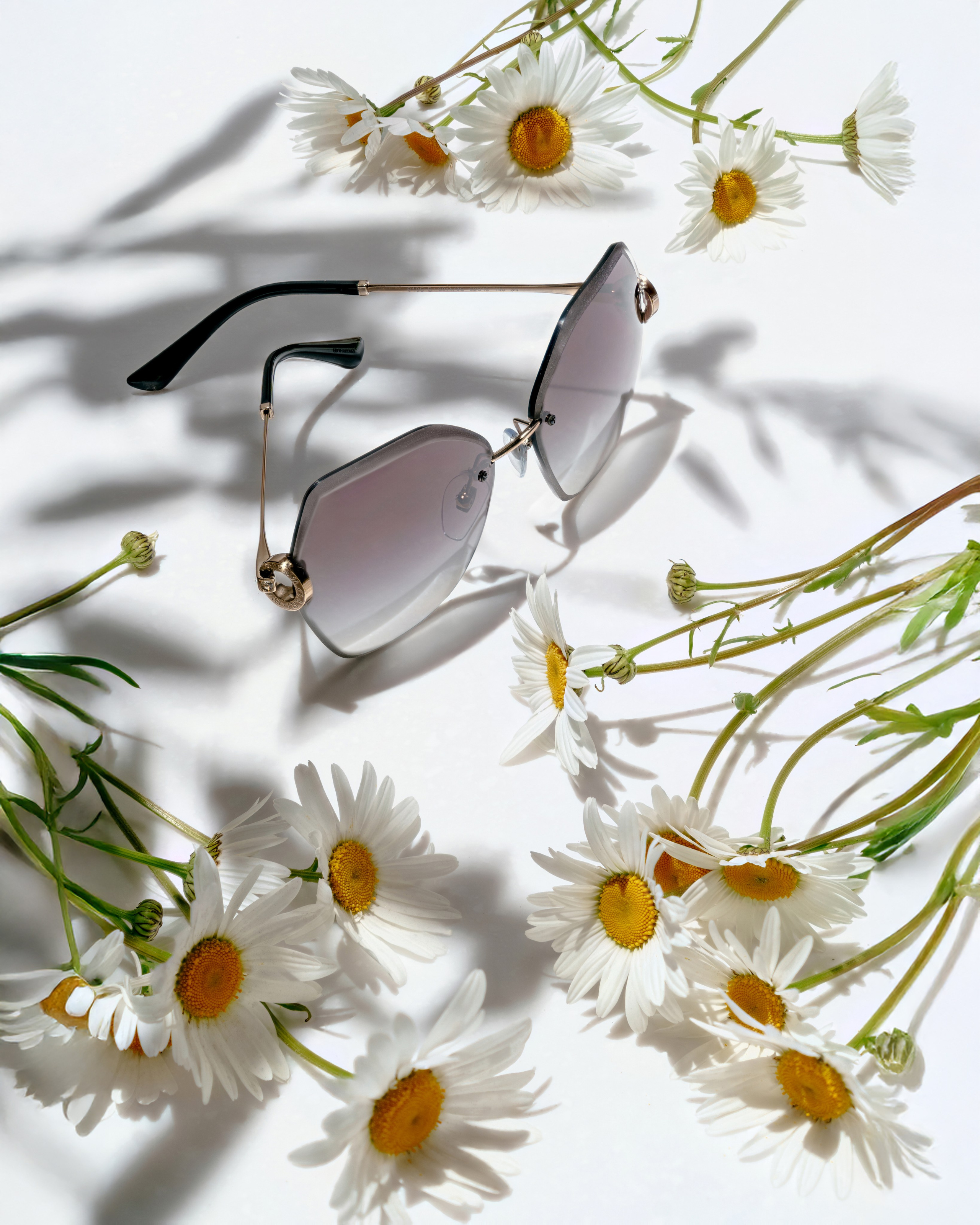 Оправы. Фотограф в Санкт-Петербурге Артем Михайлов