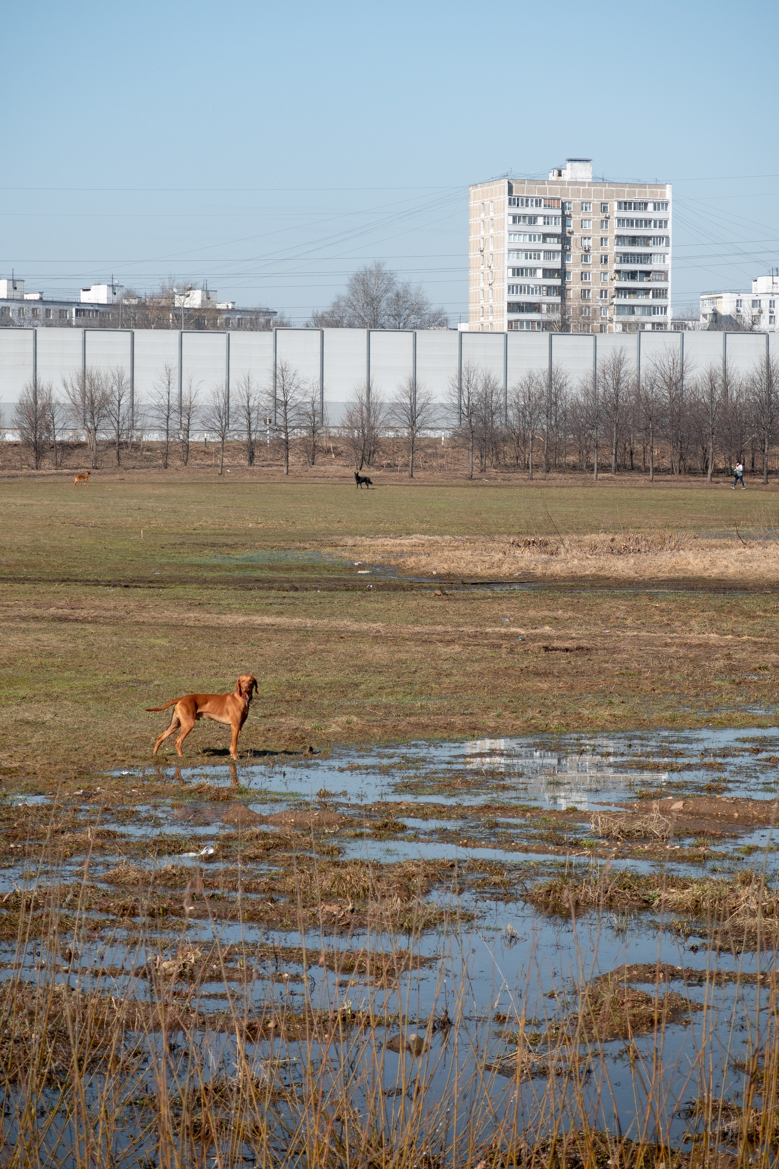 Весенняя Москва. Павел Шарапов | Фотограф | Москва