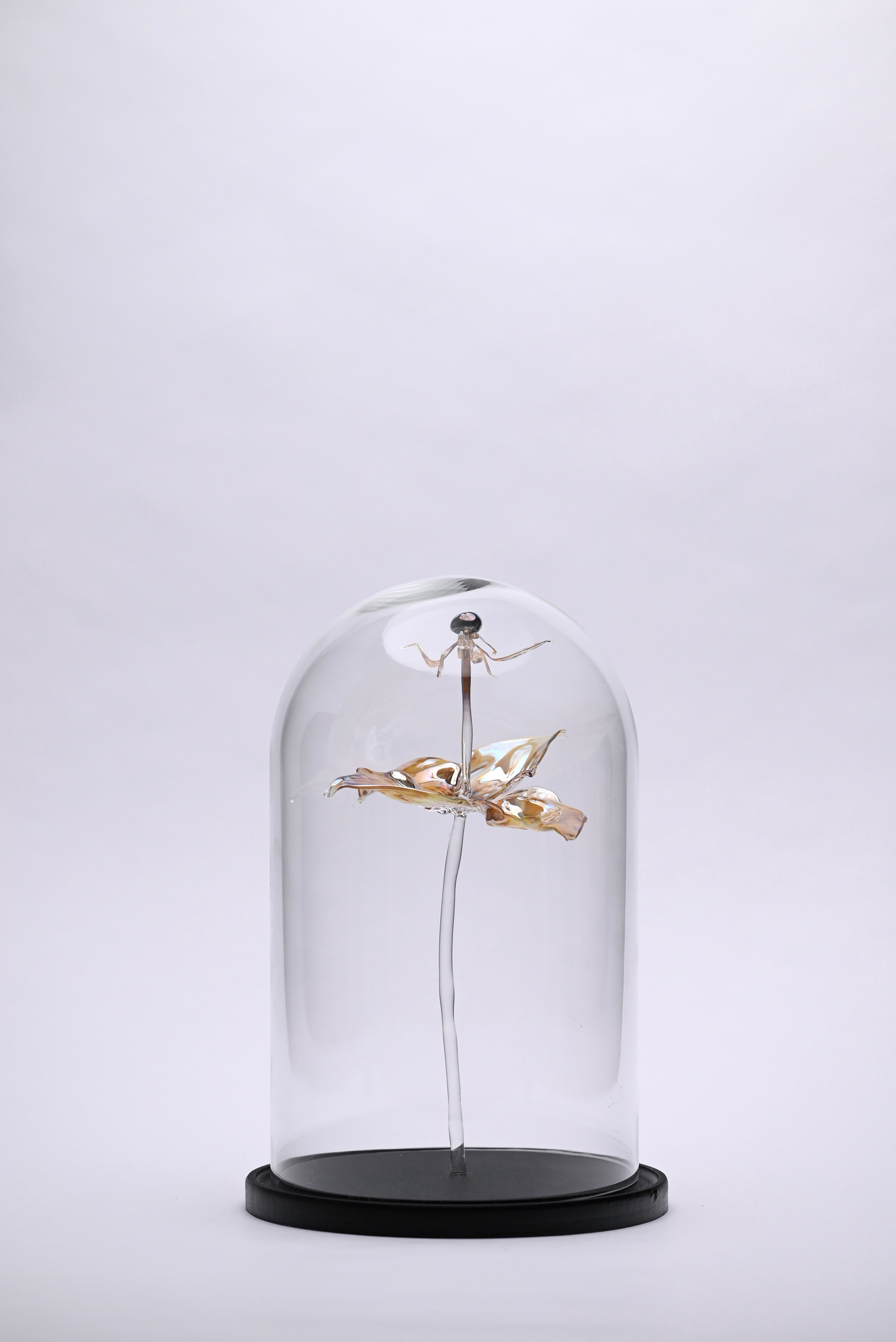 Вороний глаз. Главная