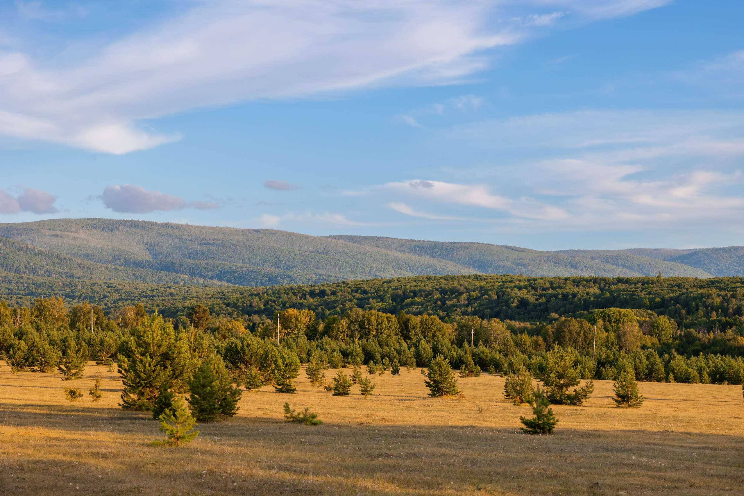 @Artel.Baikal. Фотограф и видеограф в Улан-Удэ: Аюна Габагуева и Артём Шаханов