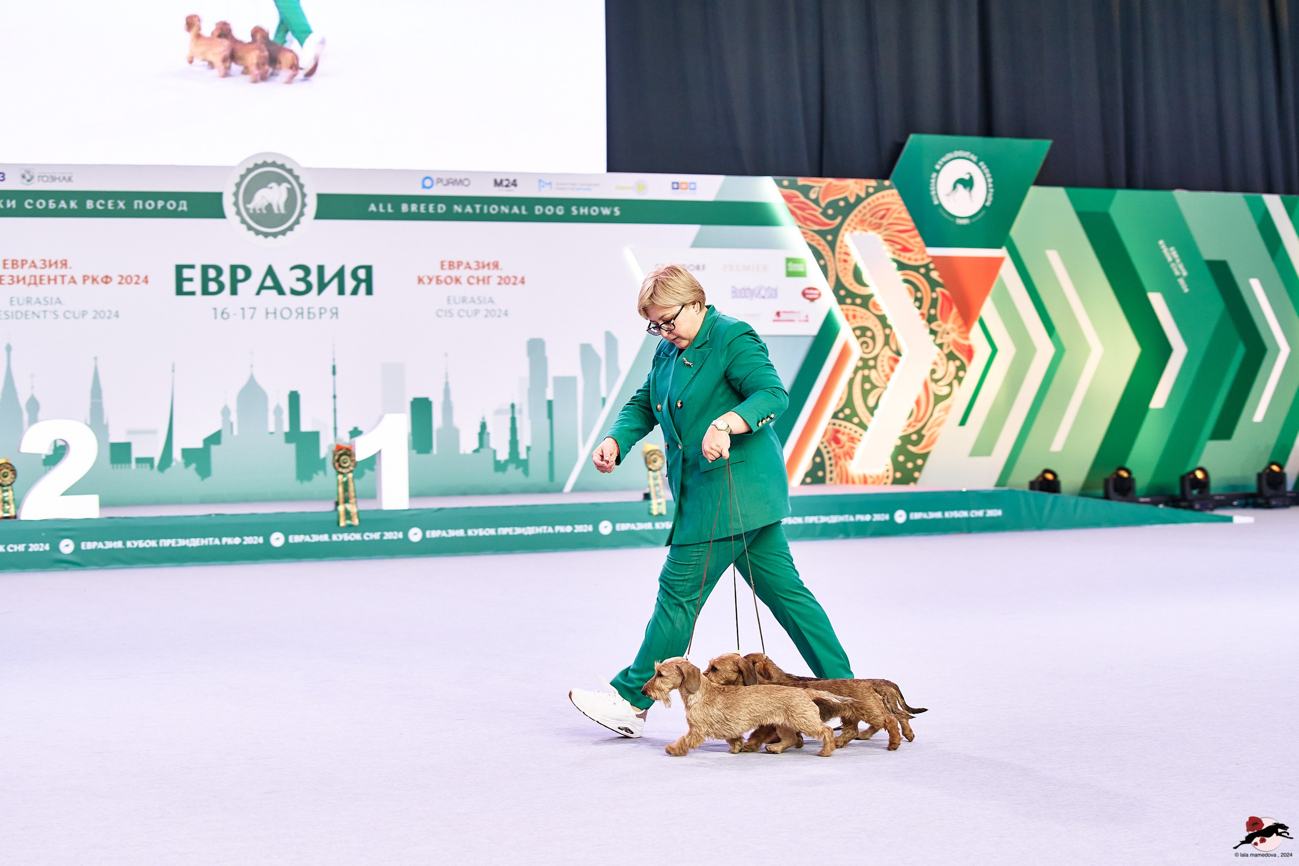 16.11.2024 «ЕВРАЗИЯ. КУБОК ПРЕЗИДЕНТА РКФ 2024»