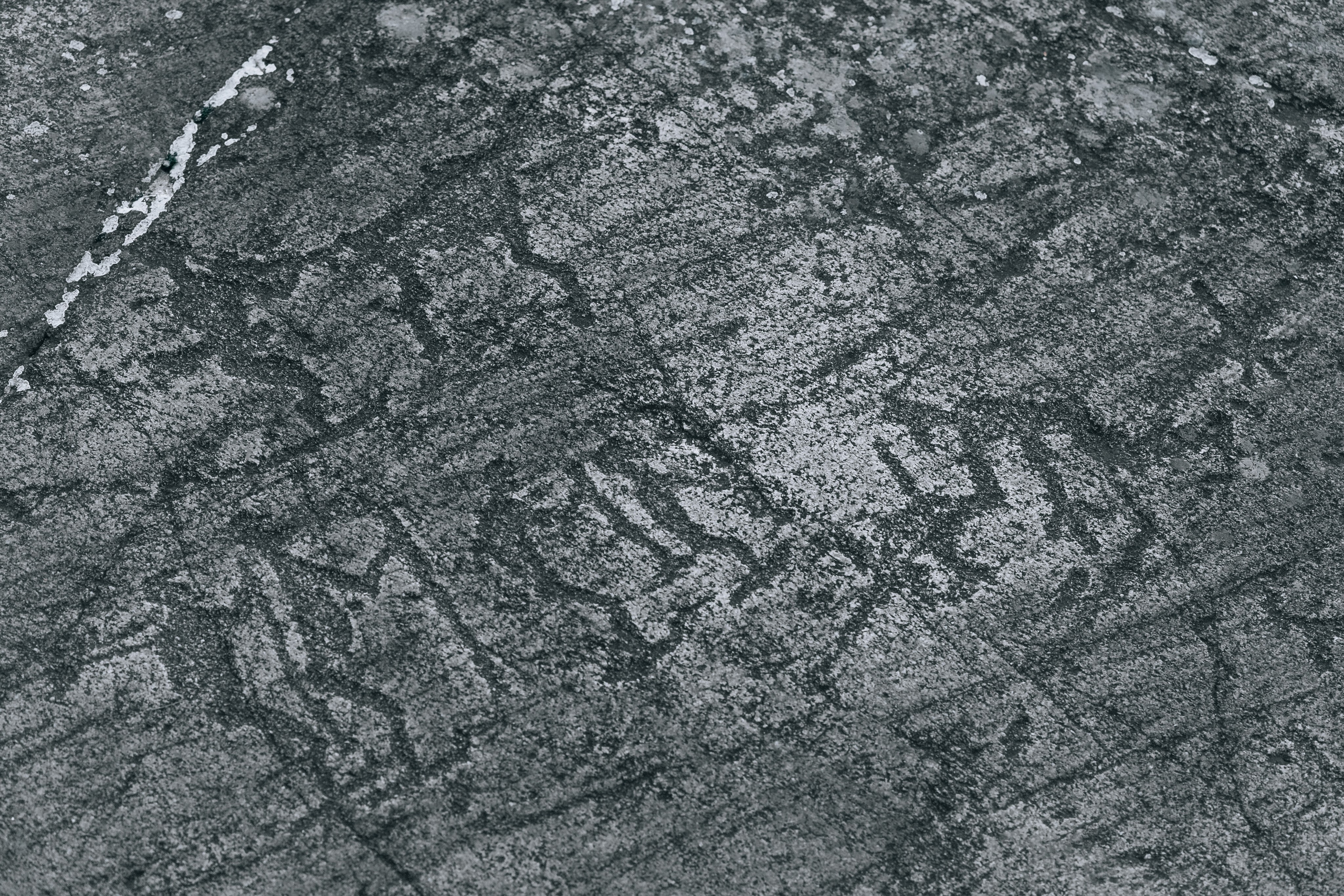 СТРИТ И ПРИРОДА. Репортажный фотограф Наталья Лапцевич