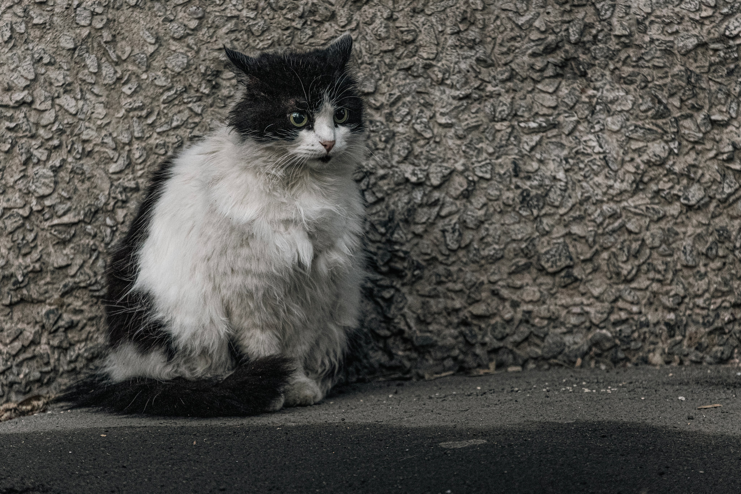 Наводнение в Орске. Репортажный фотограф Наталья Лапцевич