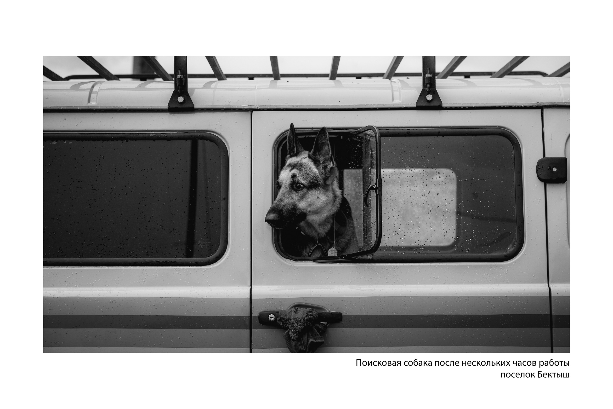 Документальный фотопроект «ЛизаАлерт: вопреки времени». Репортажный фотограф Наталья Лапцевич