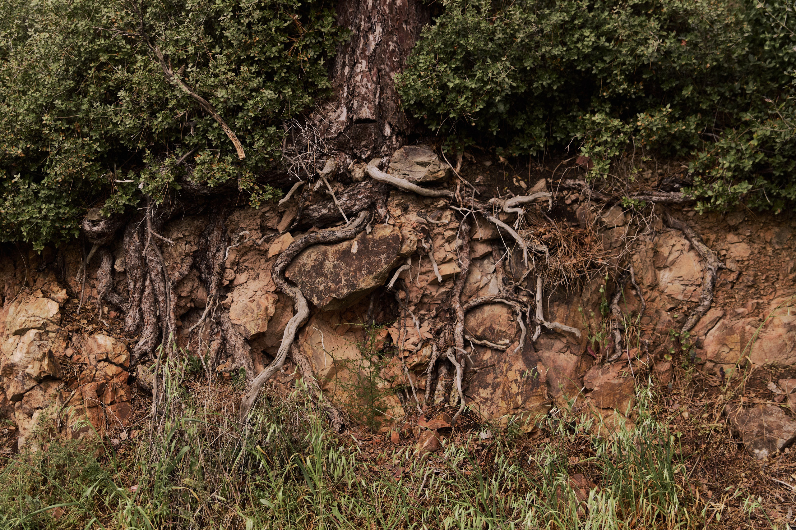 Улица горизонтальная. Jorgis — фотограф в Хургаде / обучение фотографии