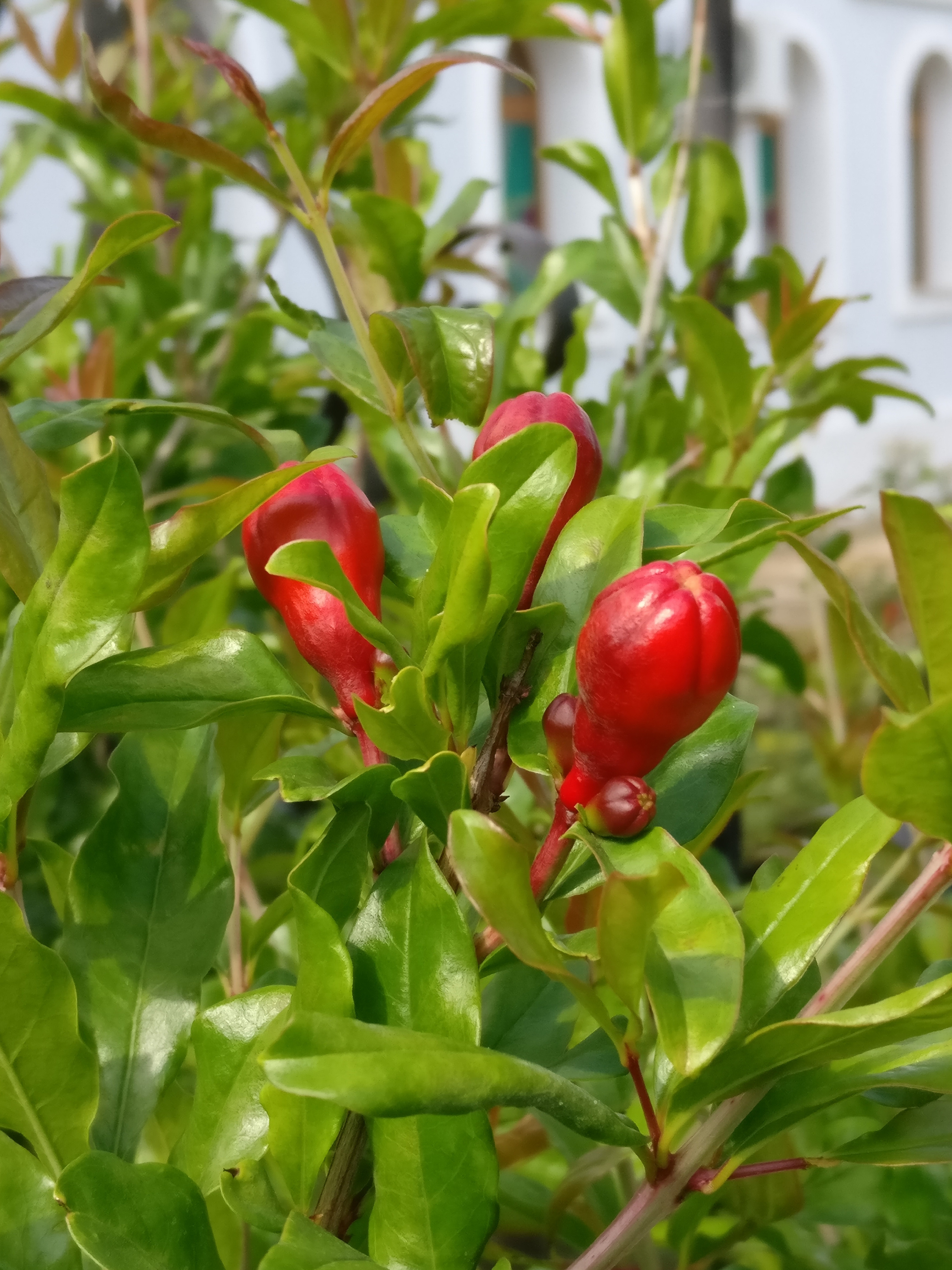 Мобильная фотография. Крым разных лет. Фотохудожник BID