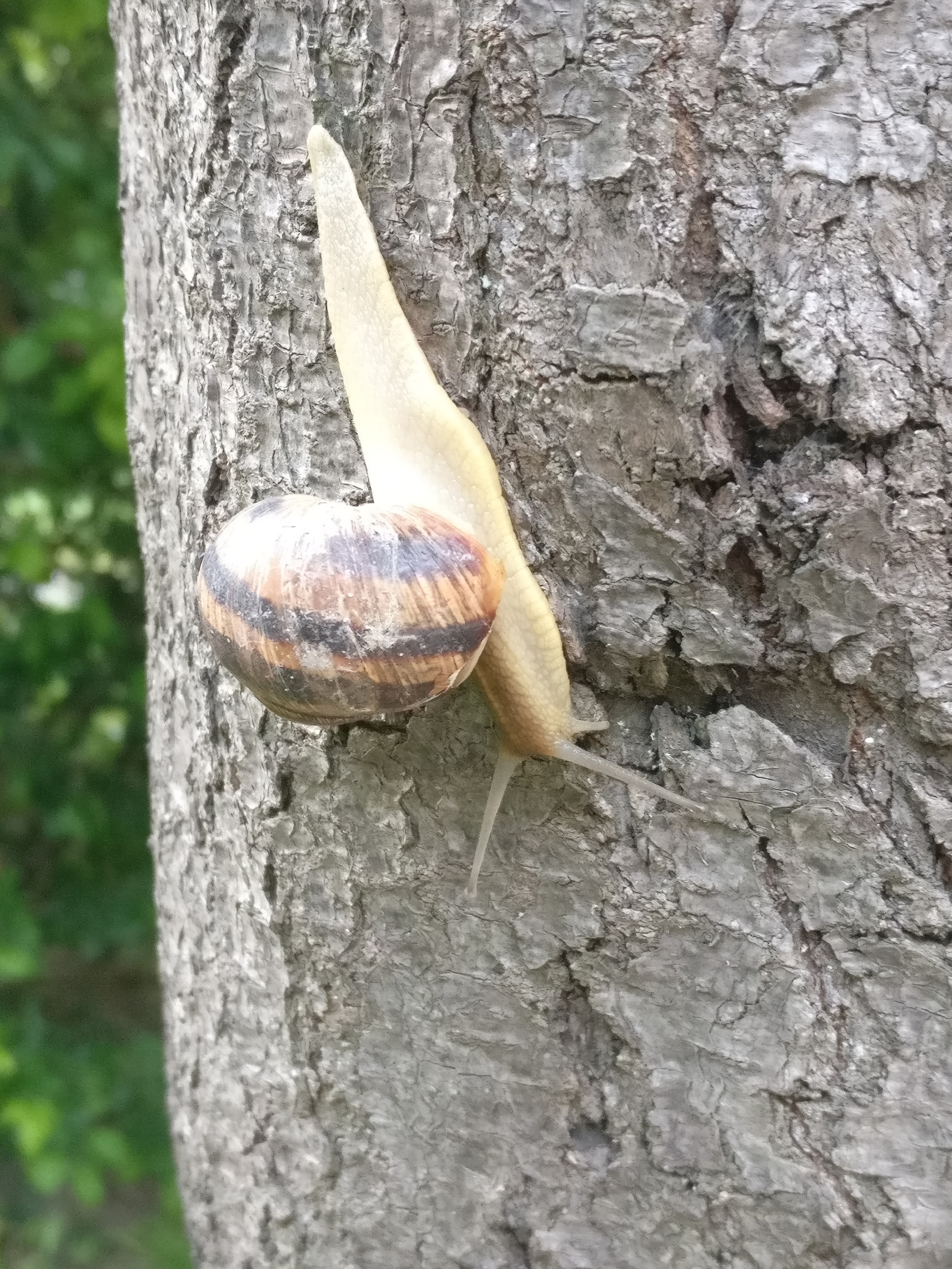 Мобильная фотография. Крым разных лет. Фотохудожник BID