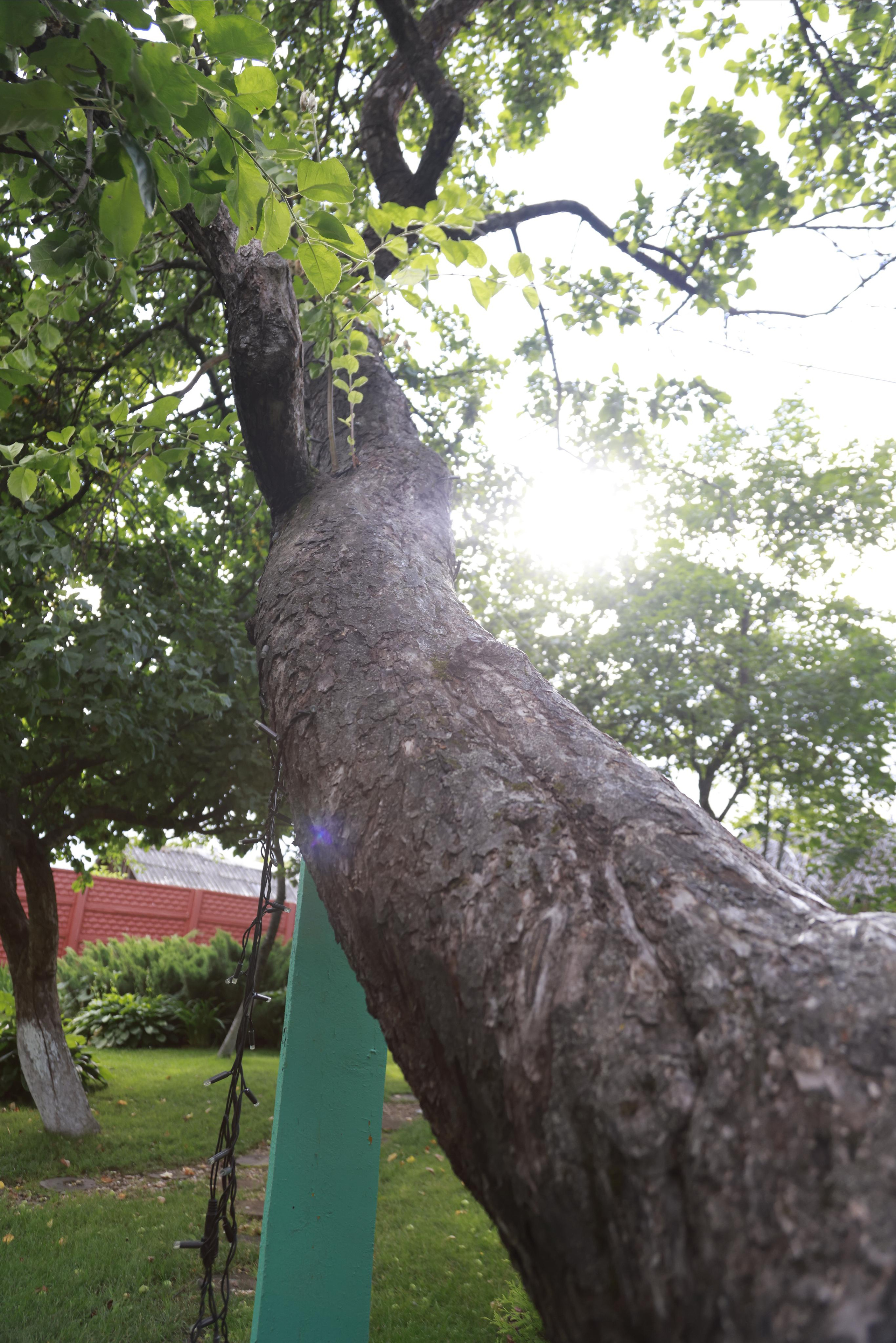 Село Вятское, Ярославской области 2022. Фотохудожник BID