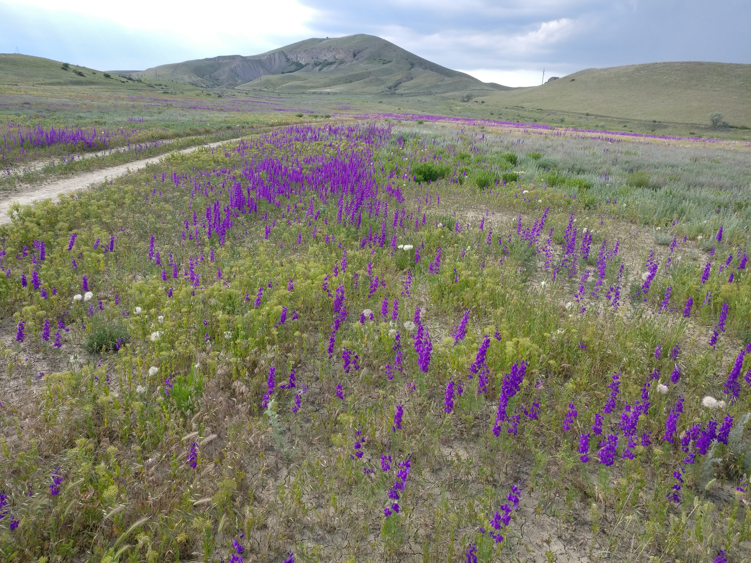 Мобильная фотография. Крым разных лет. Фотохудожник BID