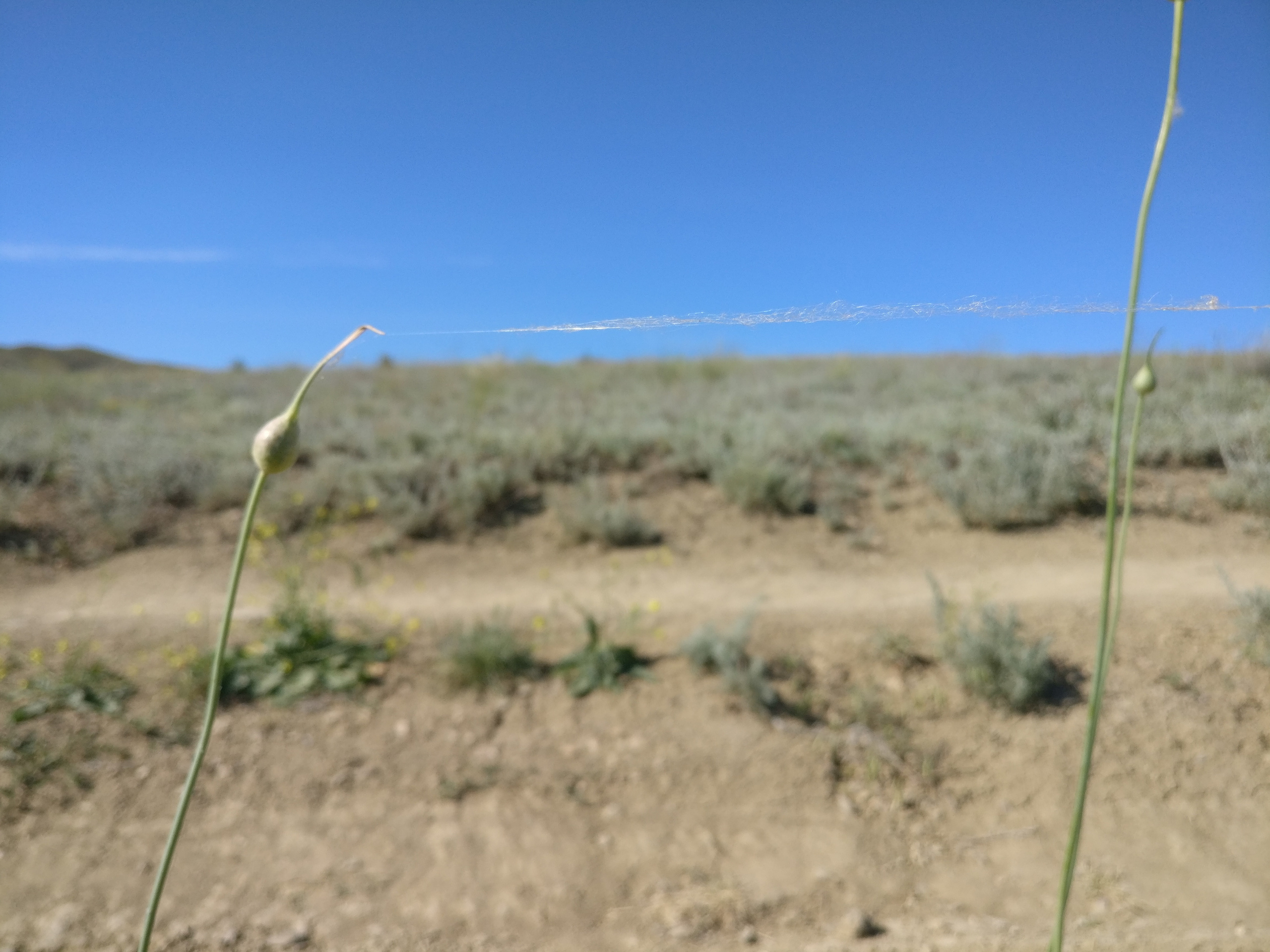 Мобильная фотография. Крым разных лет. Фотохудожник BID