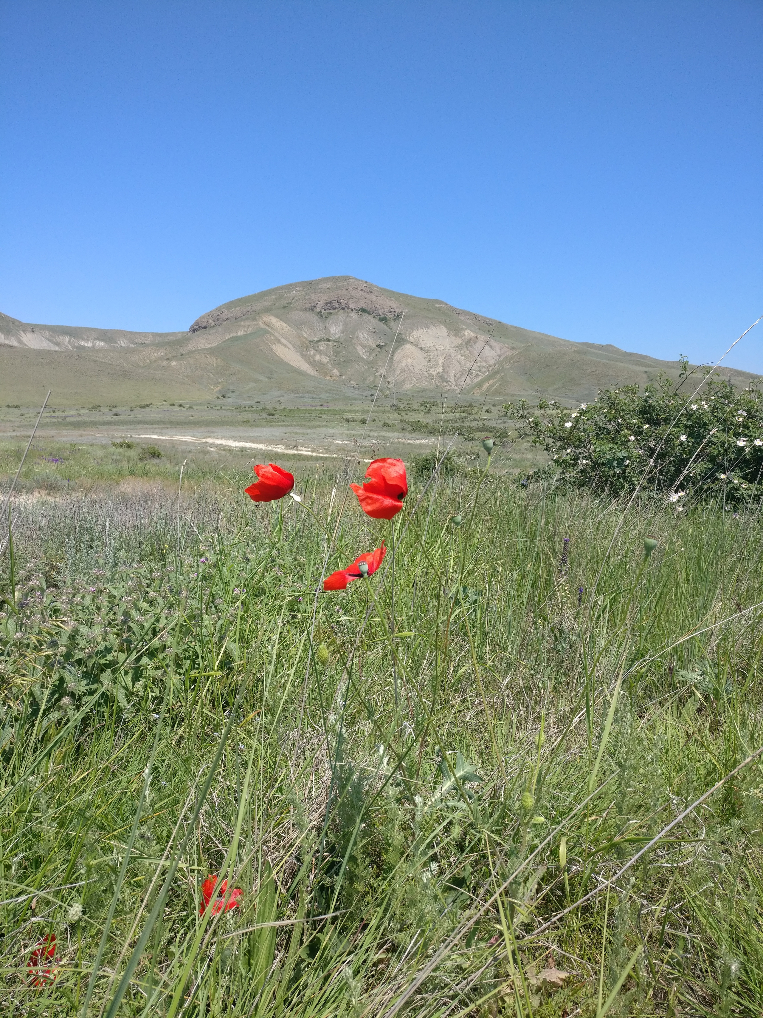 Мобильная фотография. Крым разных лет. Фотохудожник BID