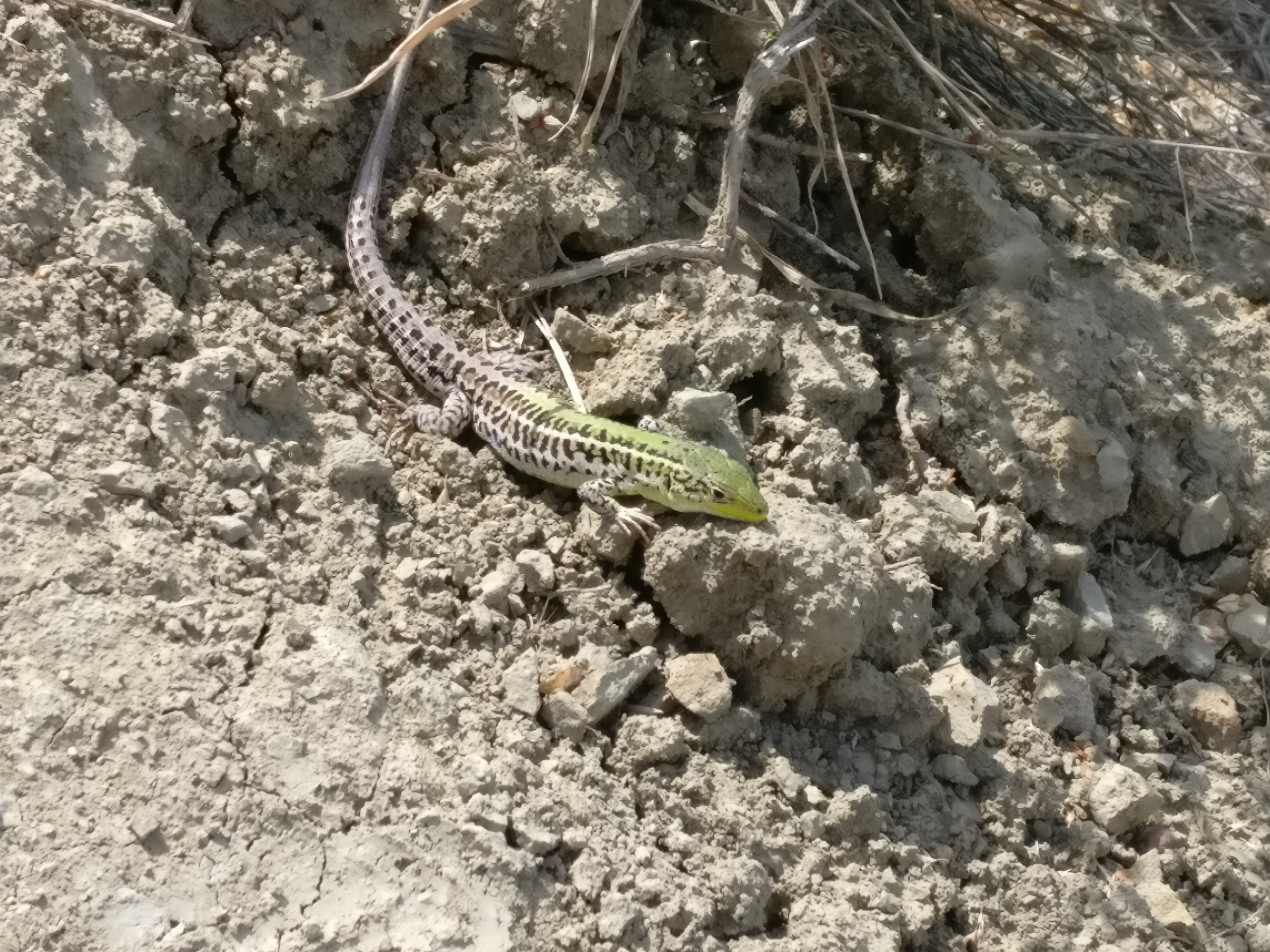 Мобильная фотография. Крым разных лет. Фотохудожник BID