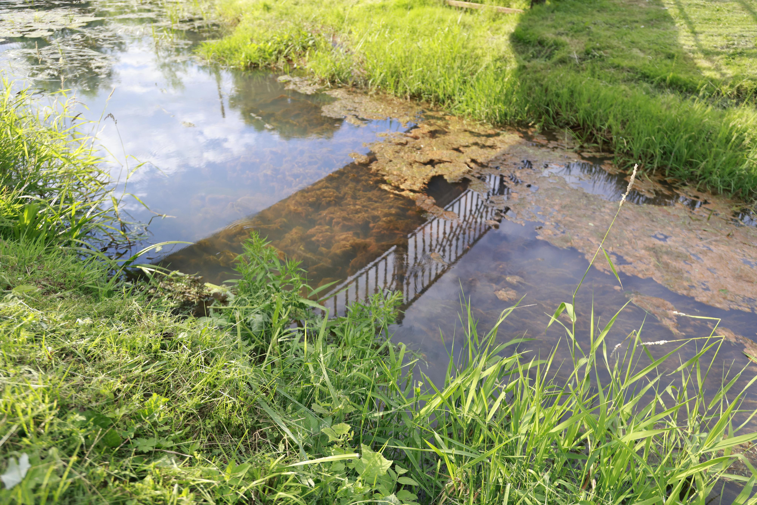 Село Вятское, Ярославской области 2022. Фотохудожник BID