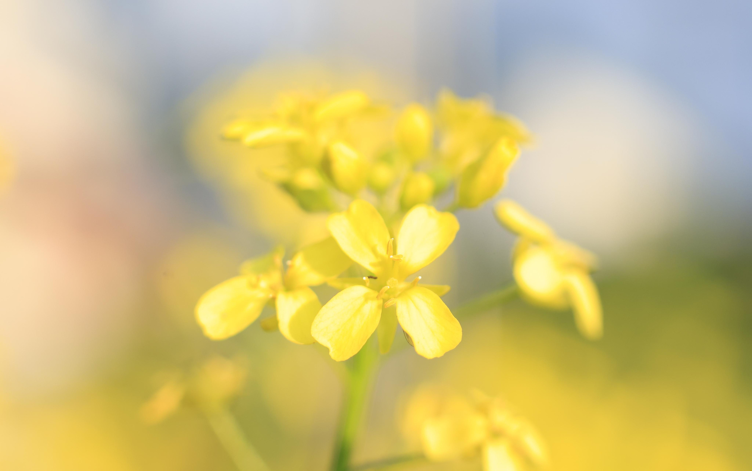 Природа. Фотохудожник BID