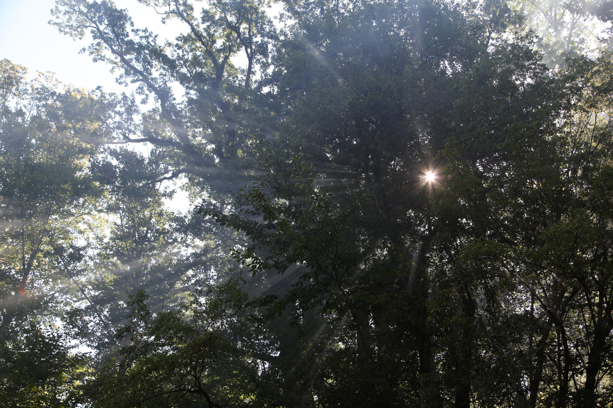 Природа. Фотохудожник BID